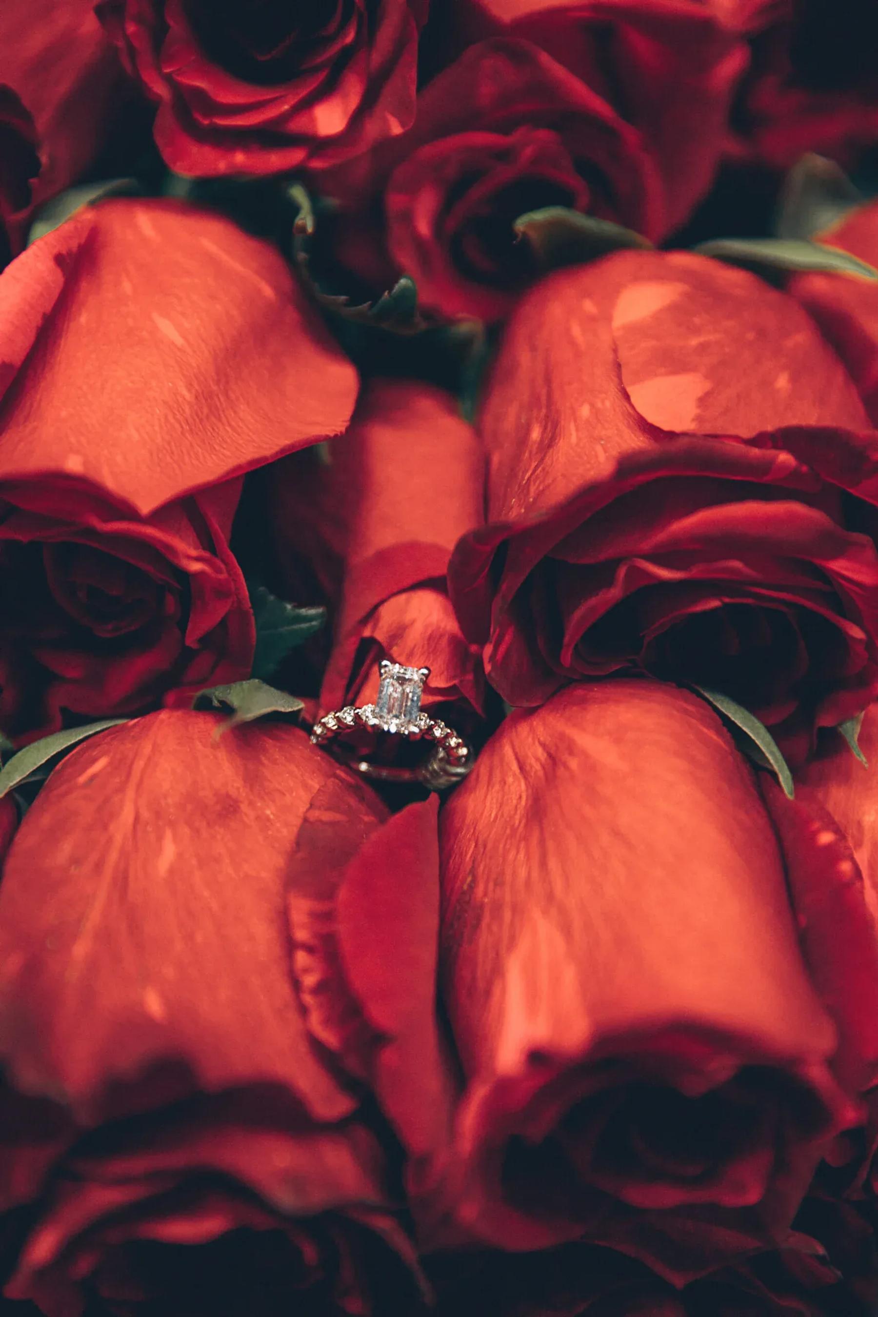 Mariam & Ramy image 16