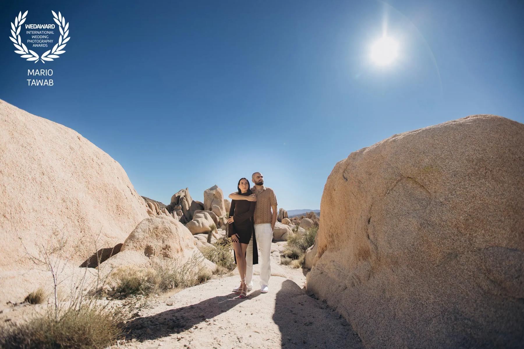 Award-winning wedding image by MT Photography