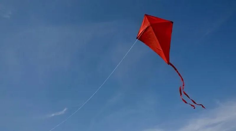 Kite