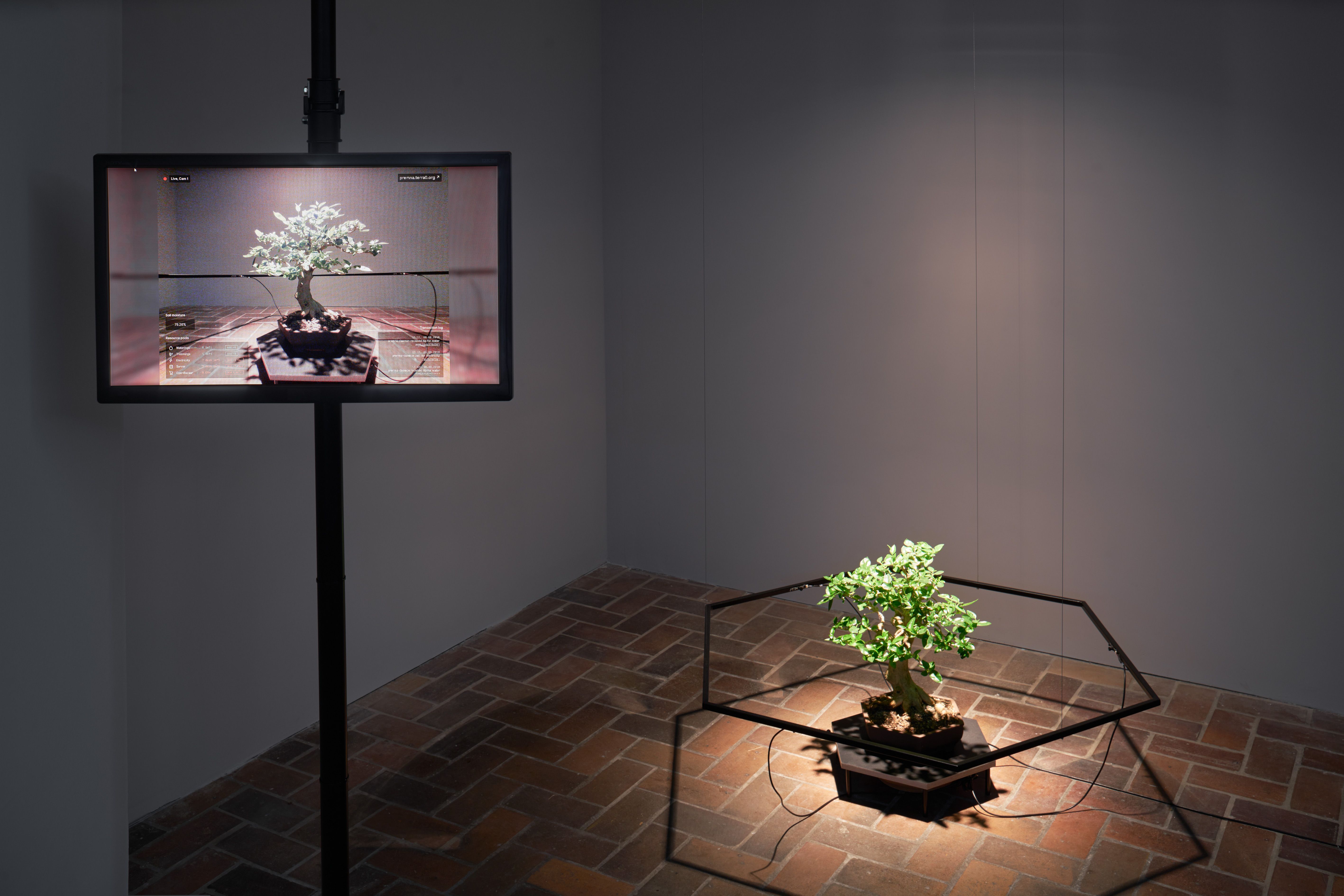 R&D: terra0 Forest | LAS Art Foundation
