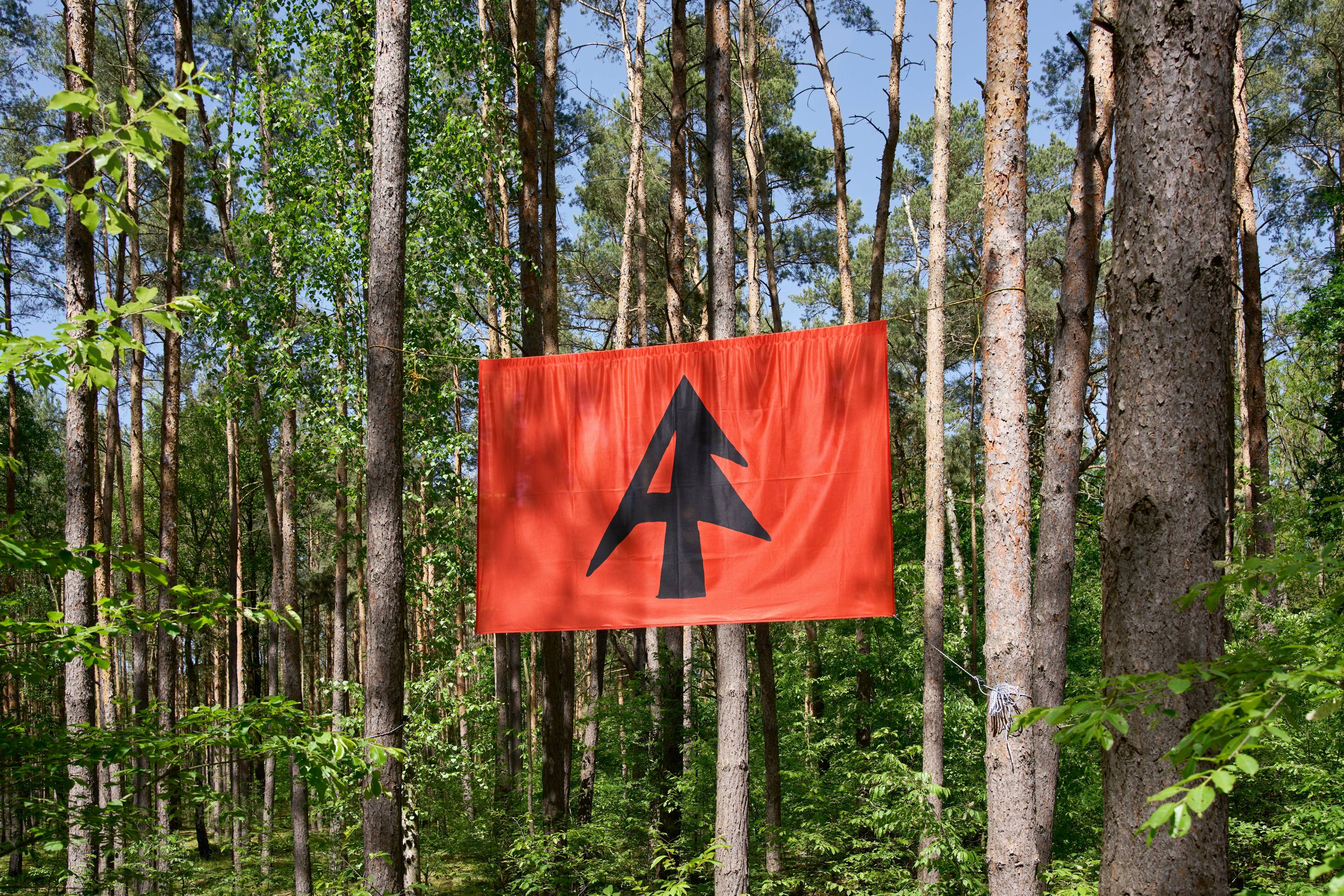 A bright red flag with a bold black symbol resembling an abstract tree and the letter “A” hangs between tall pine trees in a dense forest. Sunlight filters through the green leaves and trunks, creating a contrast between the vivid flag and the natural woodland surroundings.