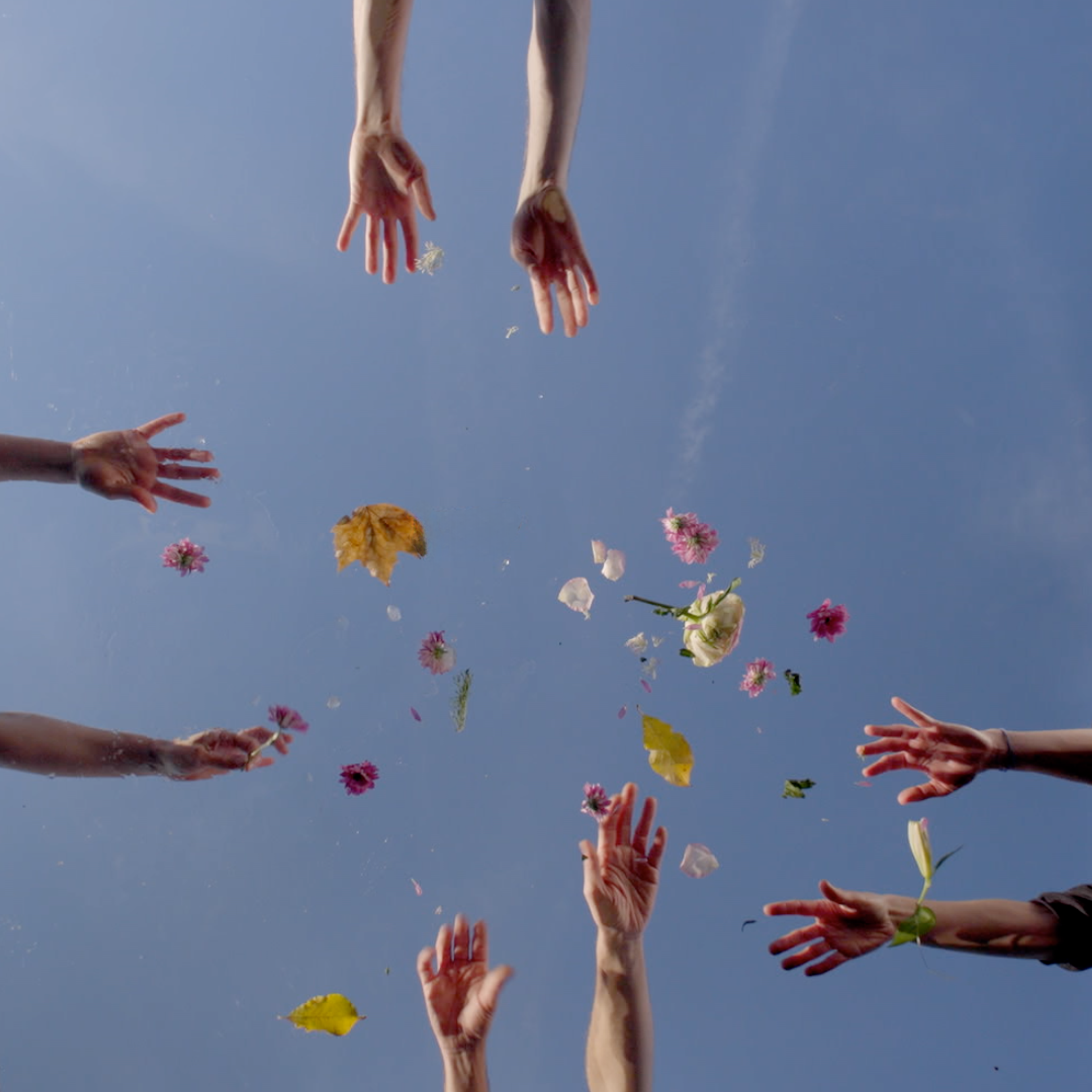 Multiple hands reach towards the sky, releasing flowers and leaves that float against a clear blue background. The image conveys a sense of movement, connection, and letting go.