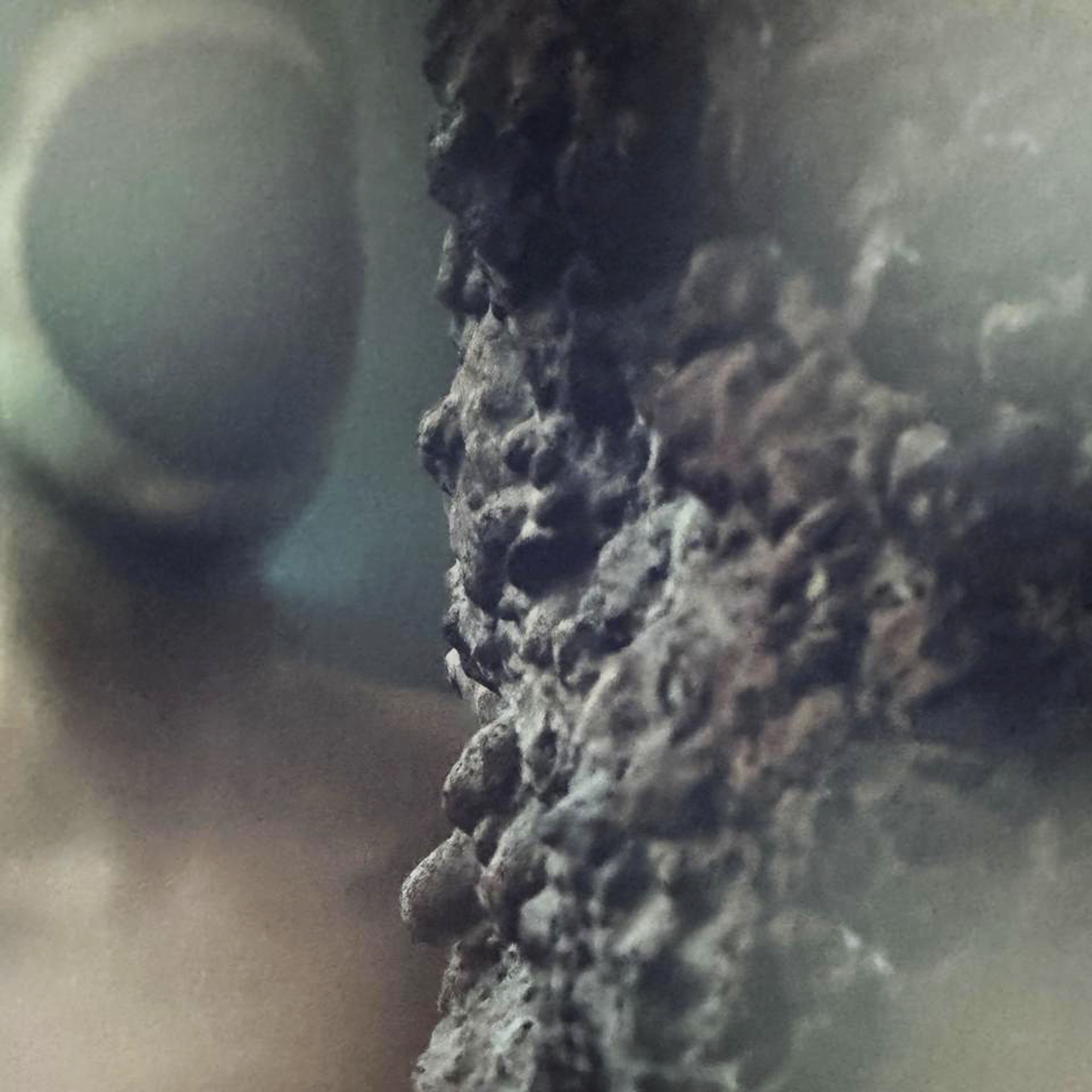 A still from Pierre Huyghe’s 2025 video work, showing an abstract, hybrid environment where technology and biology seem to merge. Commissioned by LAS Art Foundation and Hartwig Art Foundation. © Pierre Huyghe, 2025.