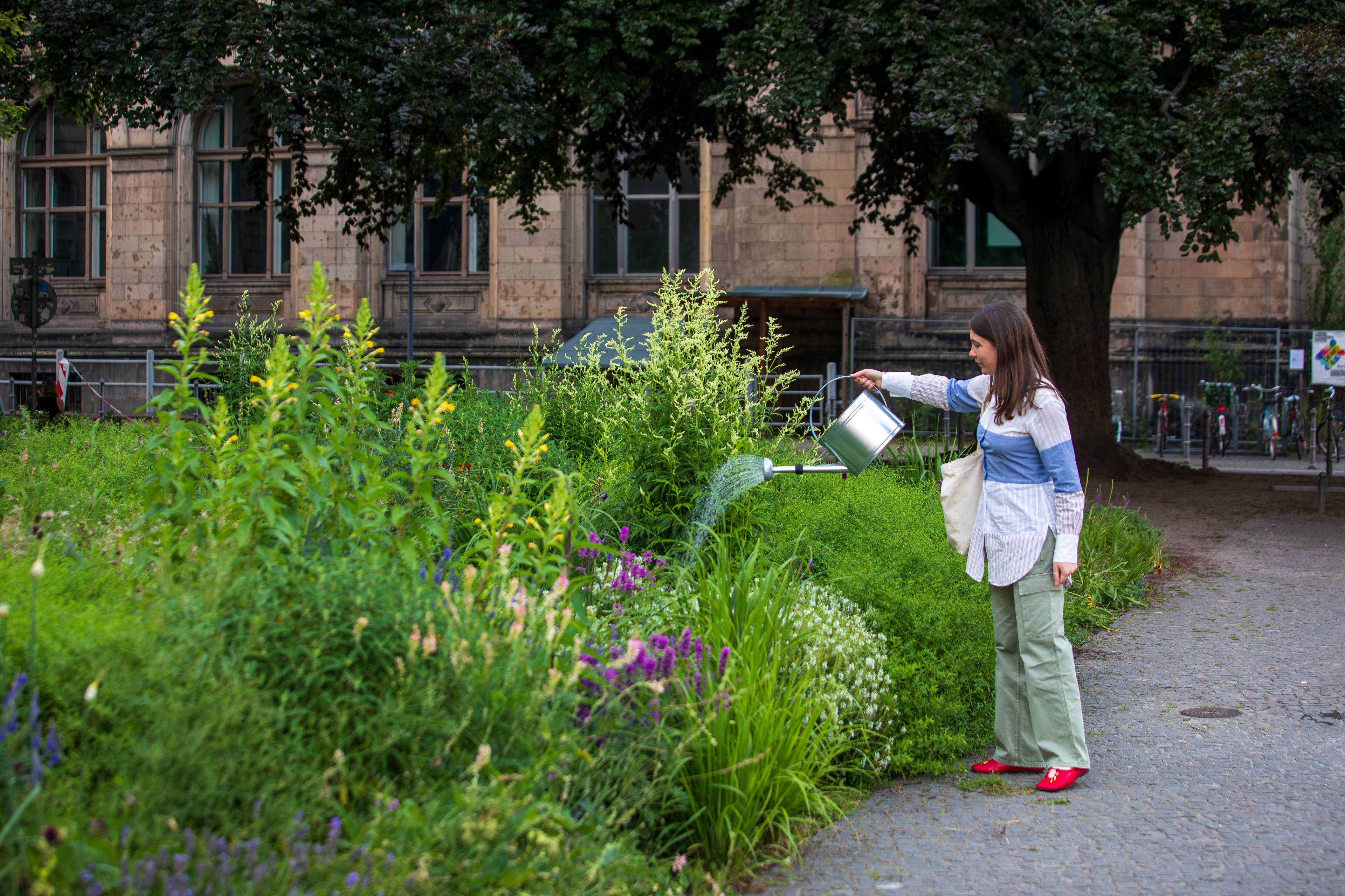A person waters a lush wildflower garden with a metal watering can in front of the Museum für Naturkunde Berlin, surrounded by flowering plants, mature trees and historic buildings.