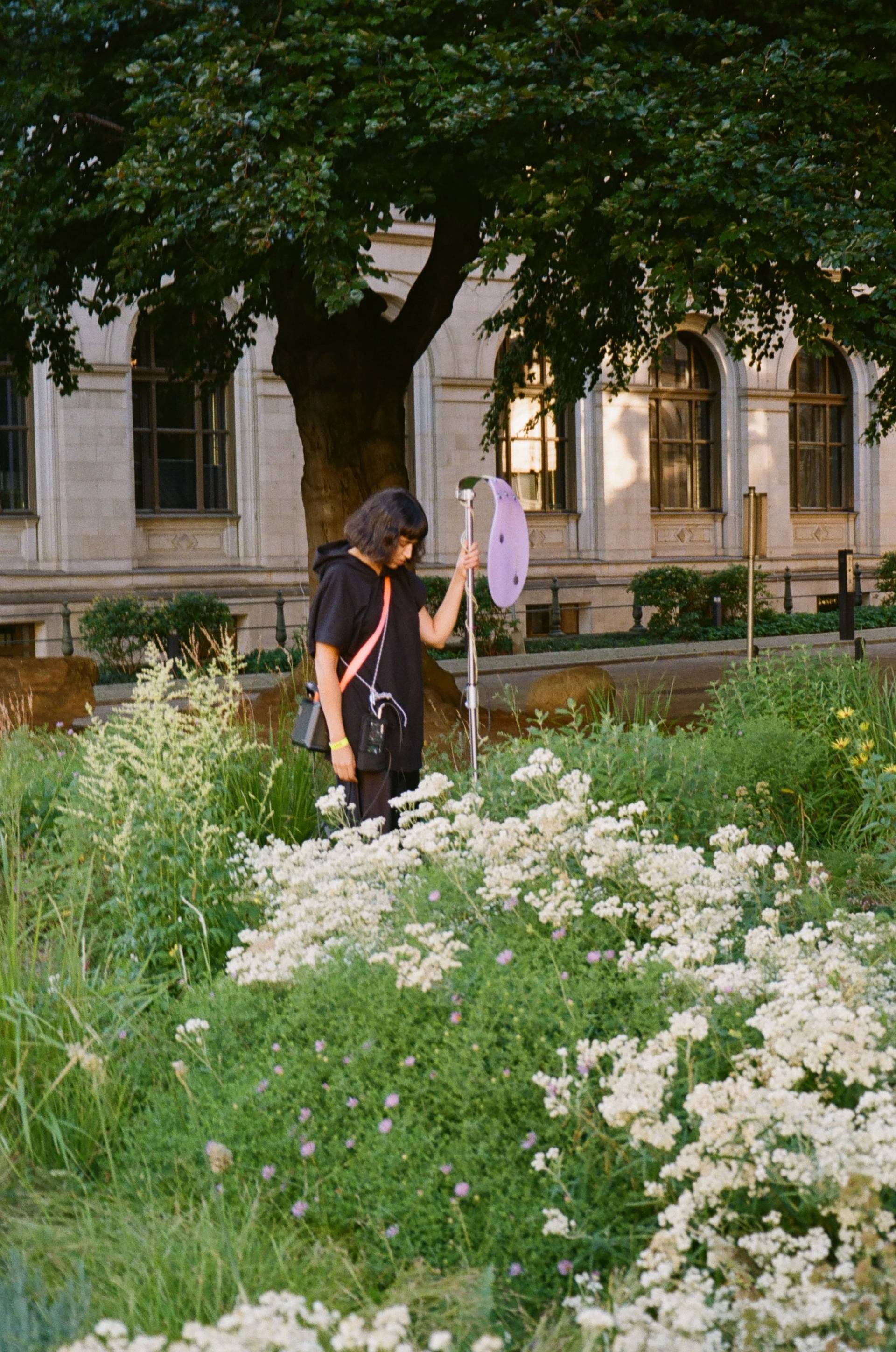 Pollinator Pathmaker: Sommerprogramm | LAS Art Foundation