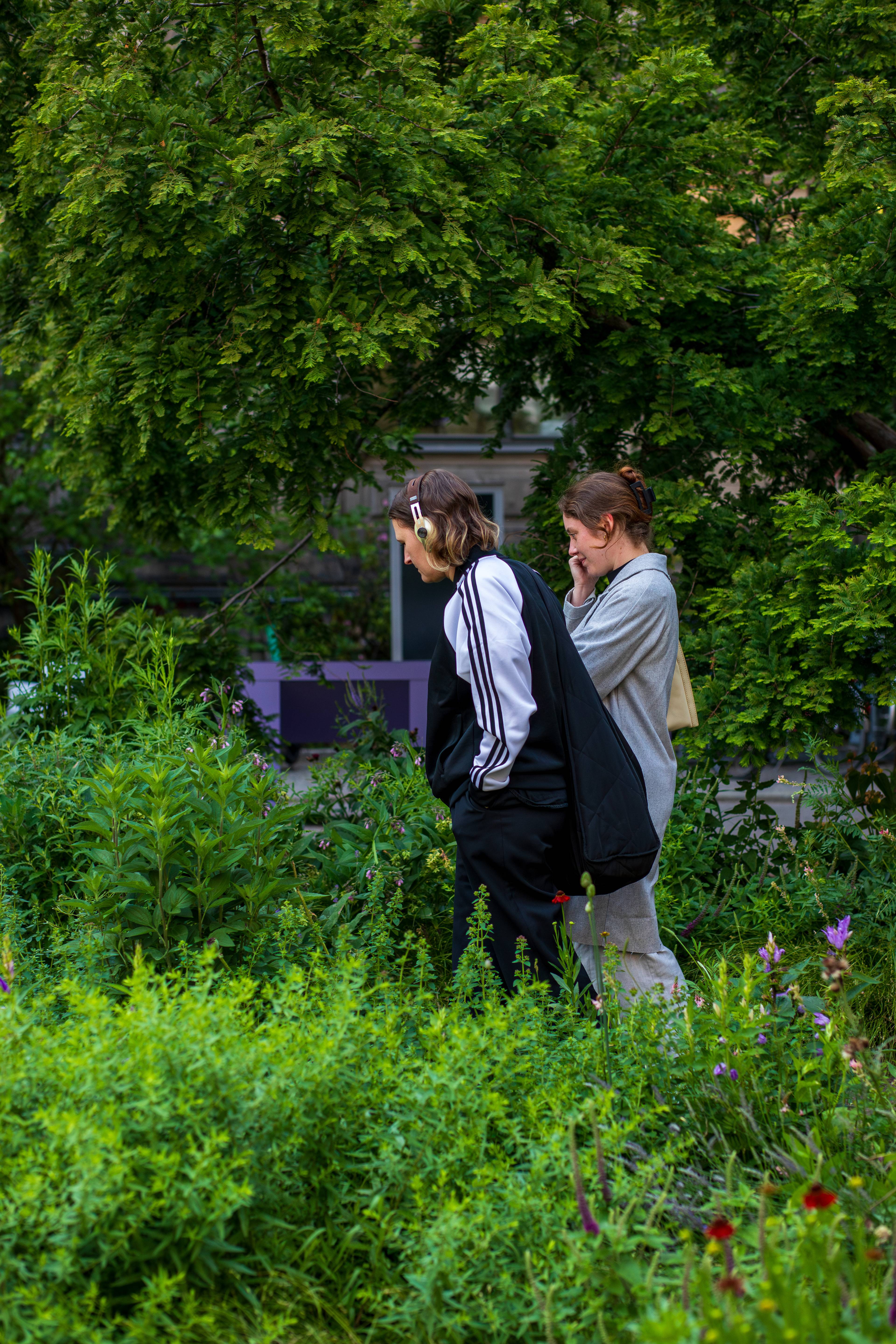 Visitors wearing headphones listens to an audio work while standing among flowering plants inside Pollinator Pathmaker.