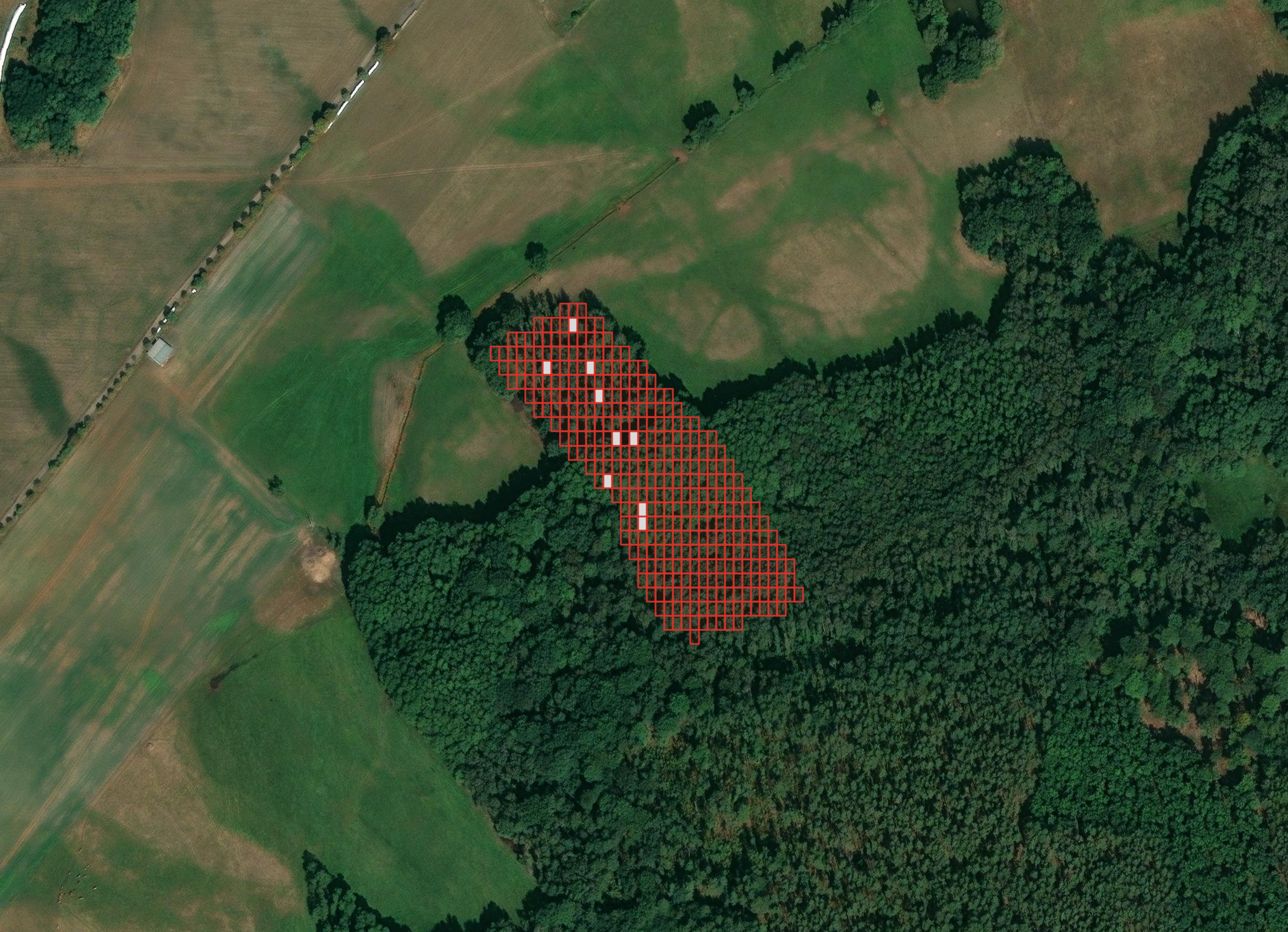 A satellite view of a rural landscape shows green fields surrounding a dense forest. A rectangular section of the forest is highlighted with a red grid overlay, marking a defined area within the trees.