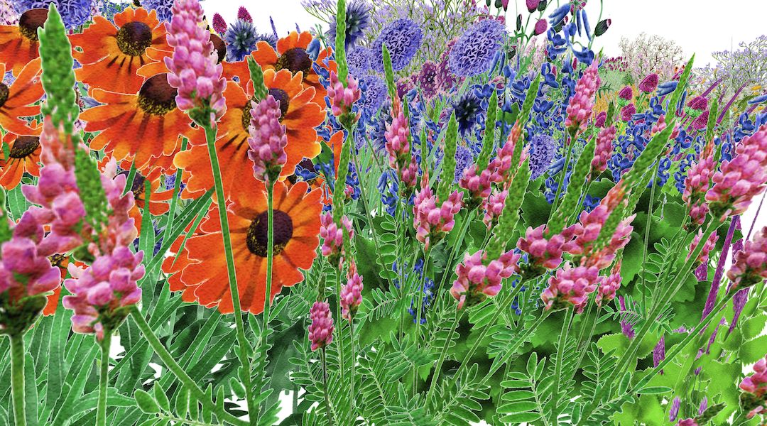 A digital render of a garden with orange, pink, purple and green-coloured flowers. It is captured from a ground-level perspective.