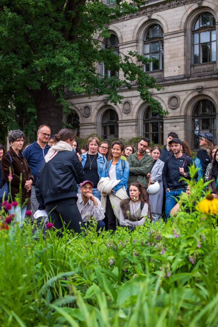 Pollinator Pathmaker: Sommerprogramm | LAS Art Foundation
