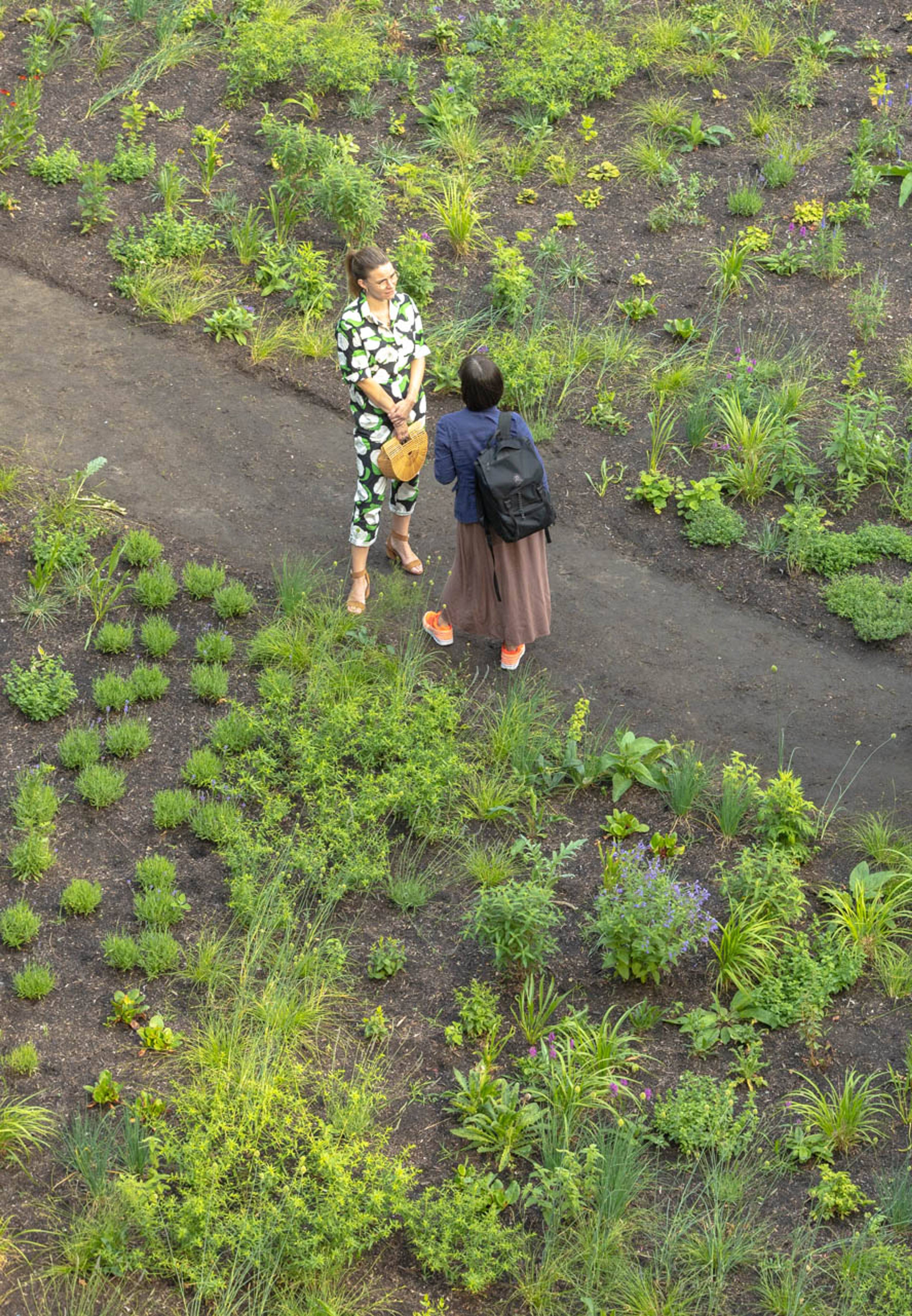 Pollinator Pathmaker | LAS Art Foundation