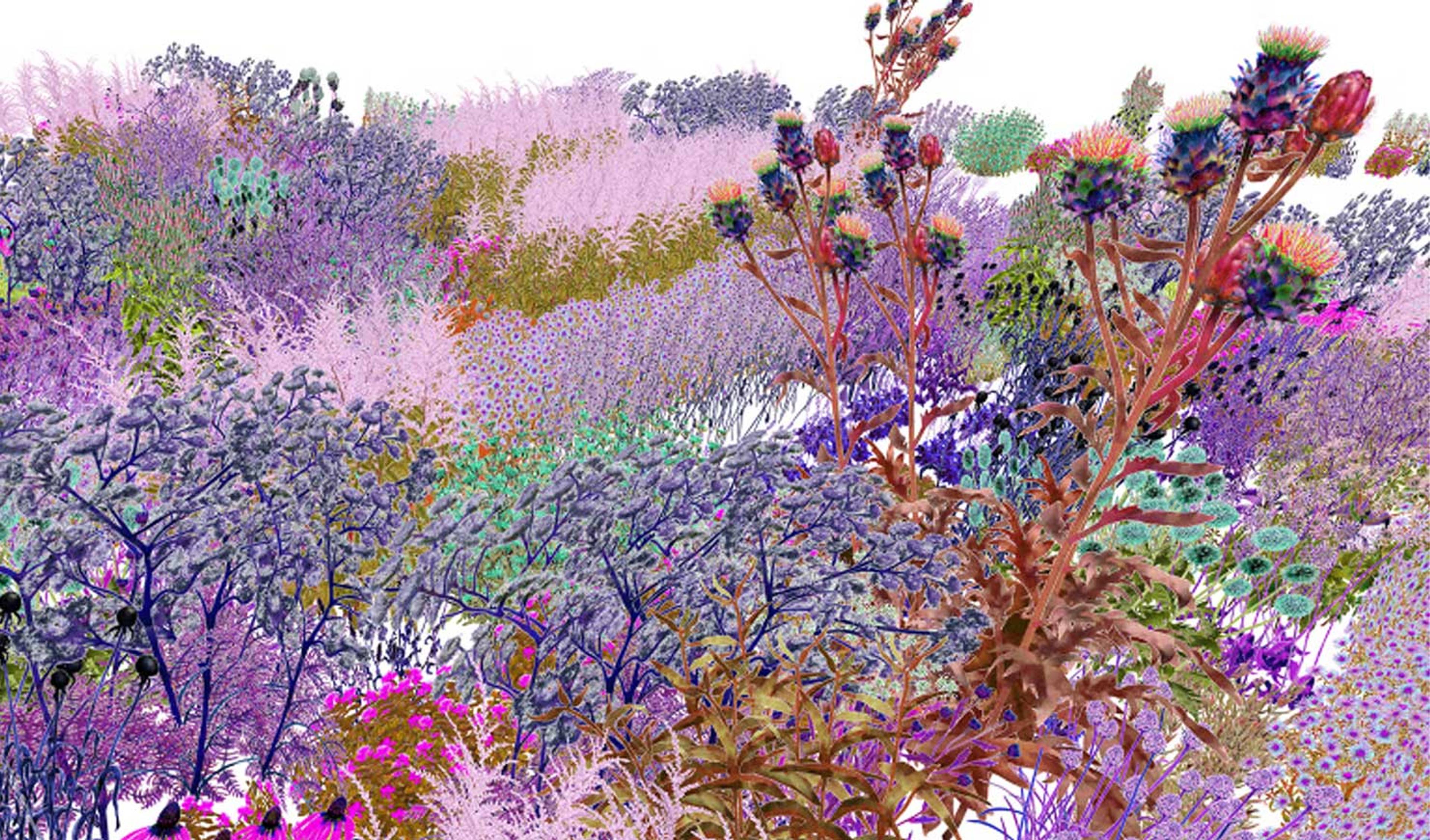 Comparison of pollinator vision and human vision in Pollinator Pathmaker