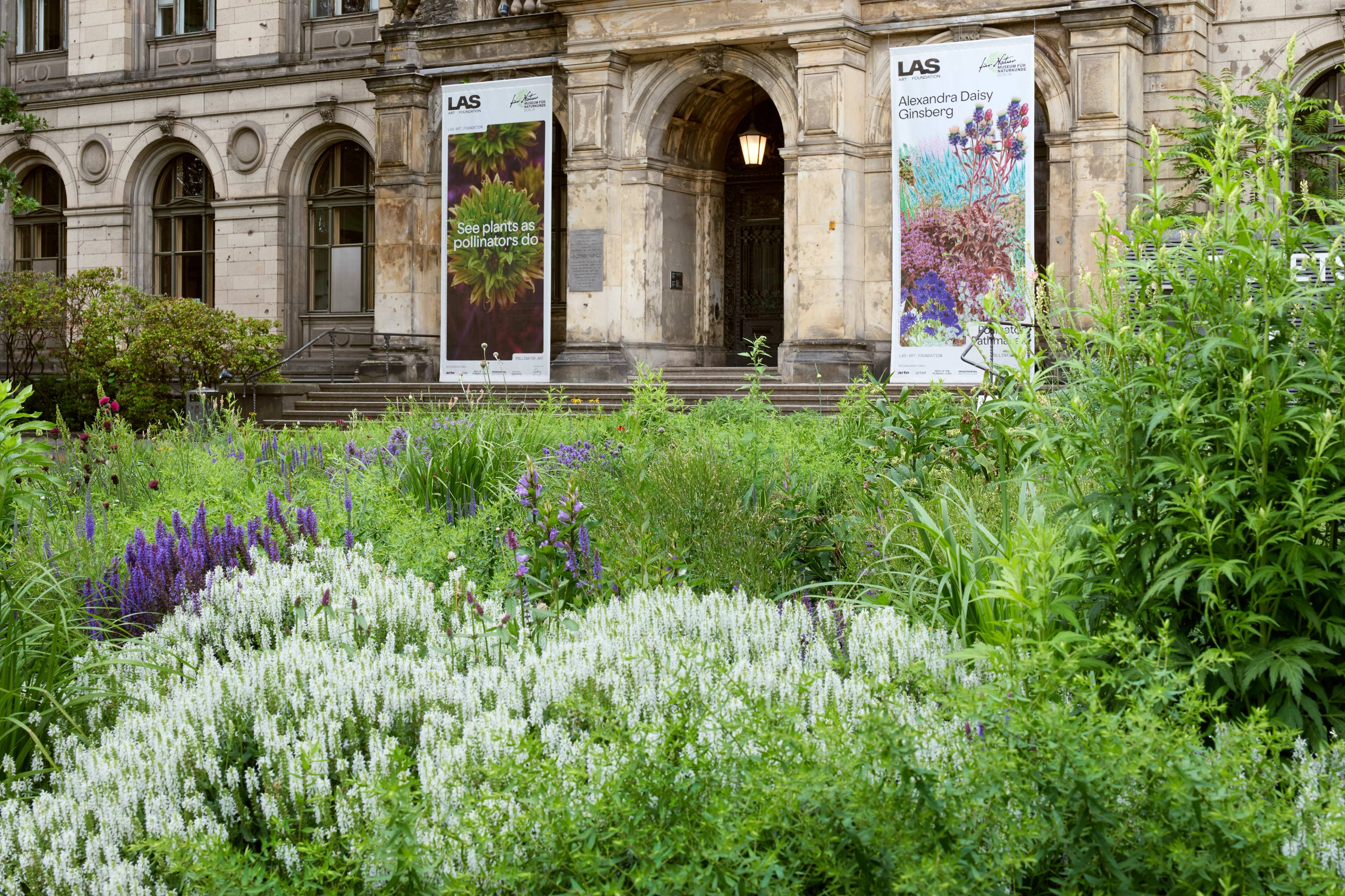 Pollinator Pathmaker living artwork outside the Museum für Naturkunde Berlin