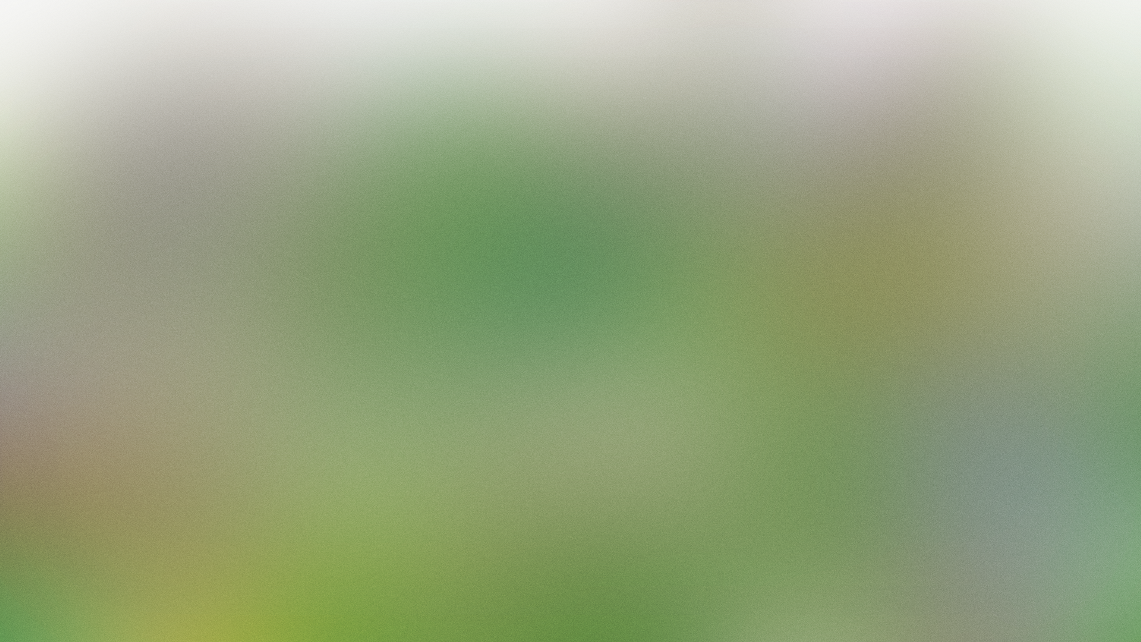 Abstrakter Hintergrund mit weichen Grüntönen und feinen Lichtverläufen.