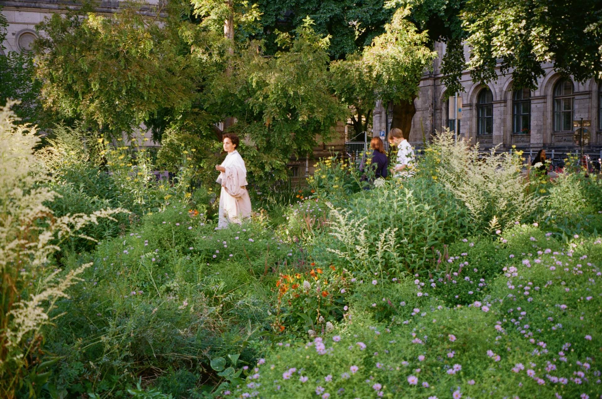 Pollinator Pathmaker: Sommerprogramm | LAS Art Foundation