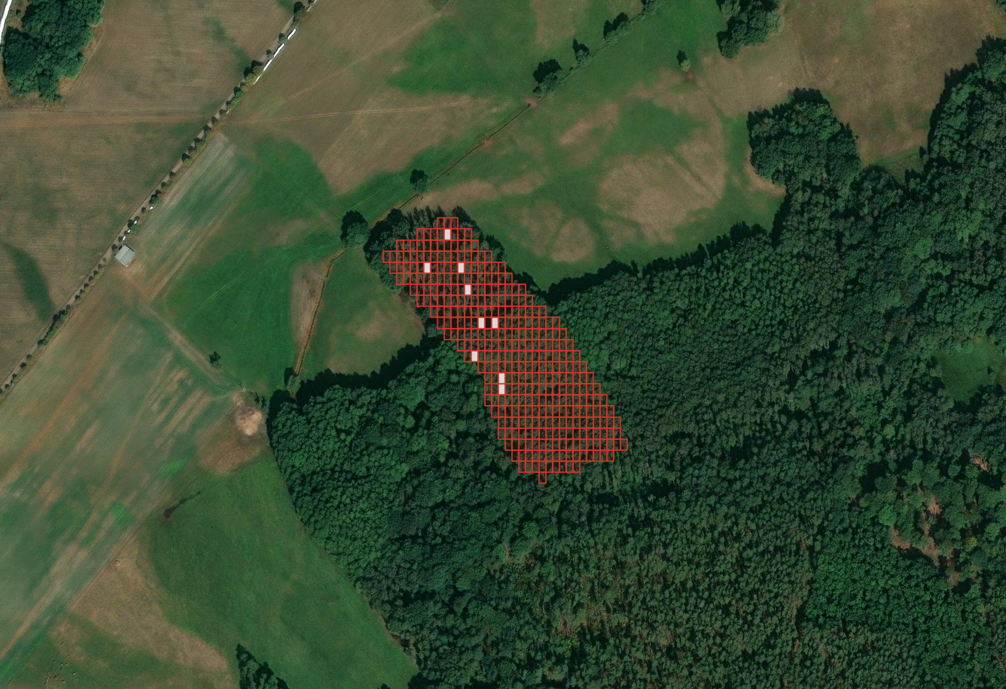 Satellitenaufnahme einer bewaldeten und landwirtschaftlich genutzten Landschaft. In der Mitte des Bildes ist ein rechteckiges Raster aus roten Linien über einem Bereich am Waldrand markiert, das eine bestimmte Untersuchungs- oder Projektzone kennzeichnet.