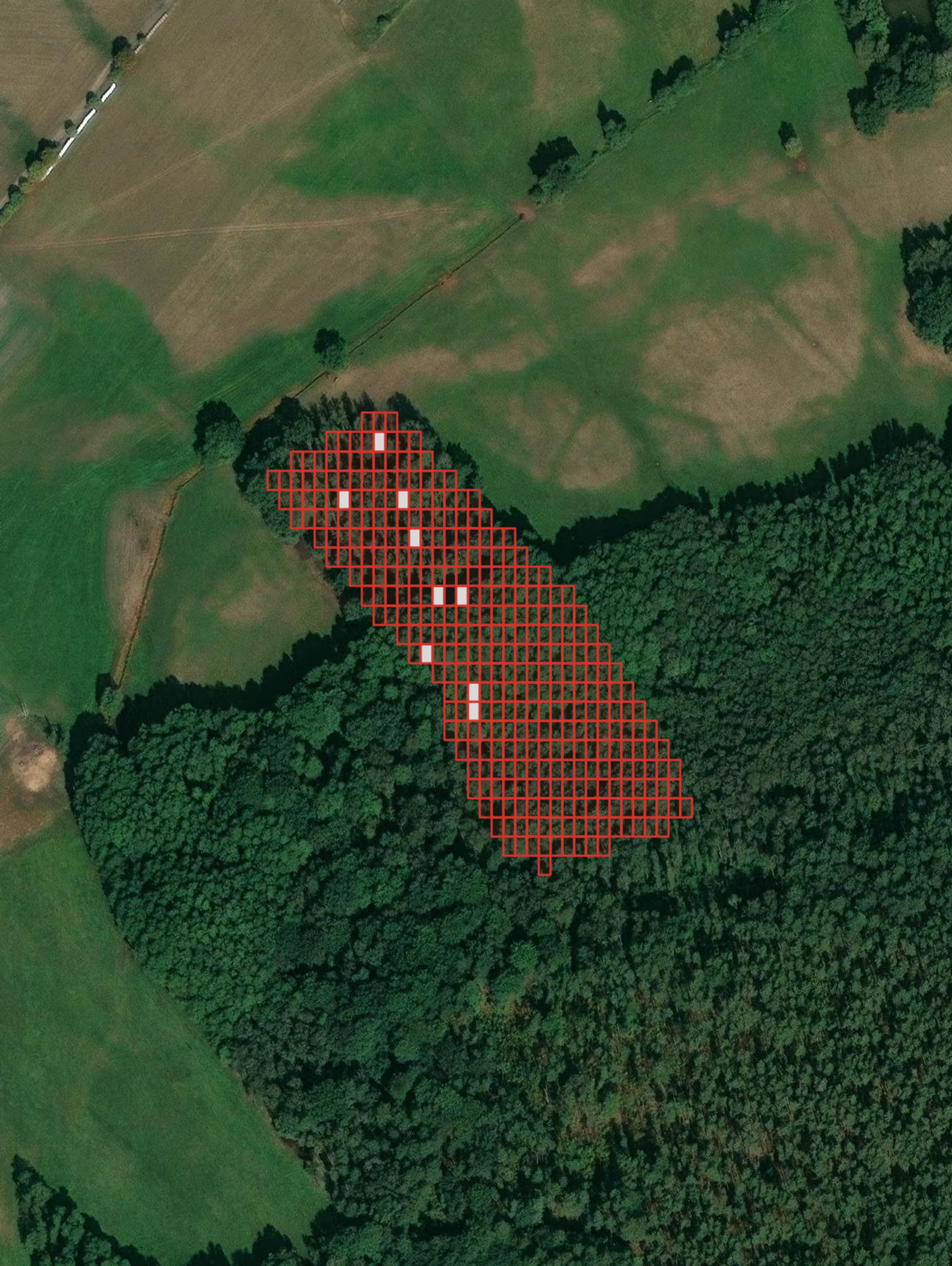 Satellitenaufnahme einer bewaldeten und landwirtschaftlich genutzten Landschaft. In der Mitte des Bildes ist ein rechteckiges Raster aus roten Linien über einem Bereich am Waldrand markiert, das eine bestimmte Untersuchungs- oder Projektzone kennzeichnet.