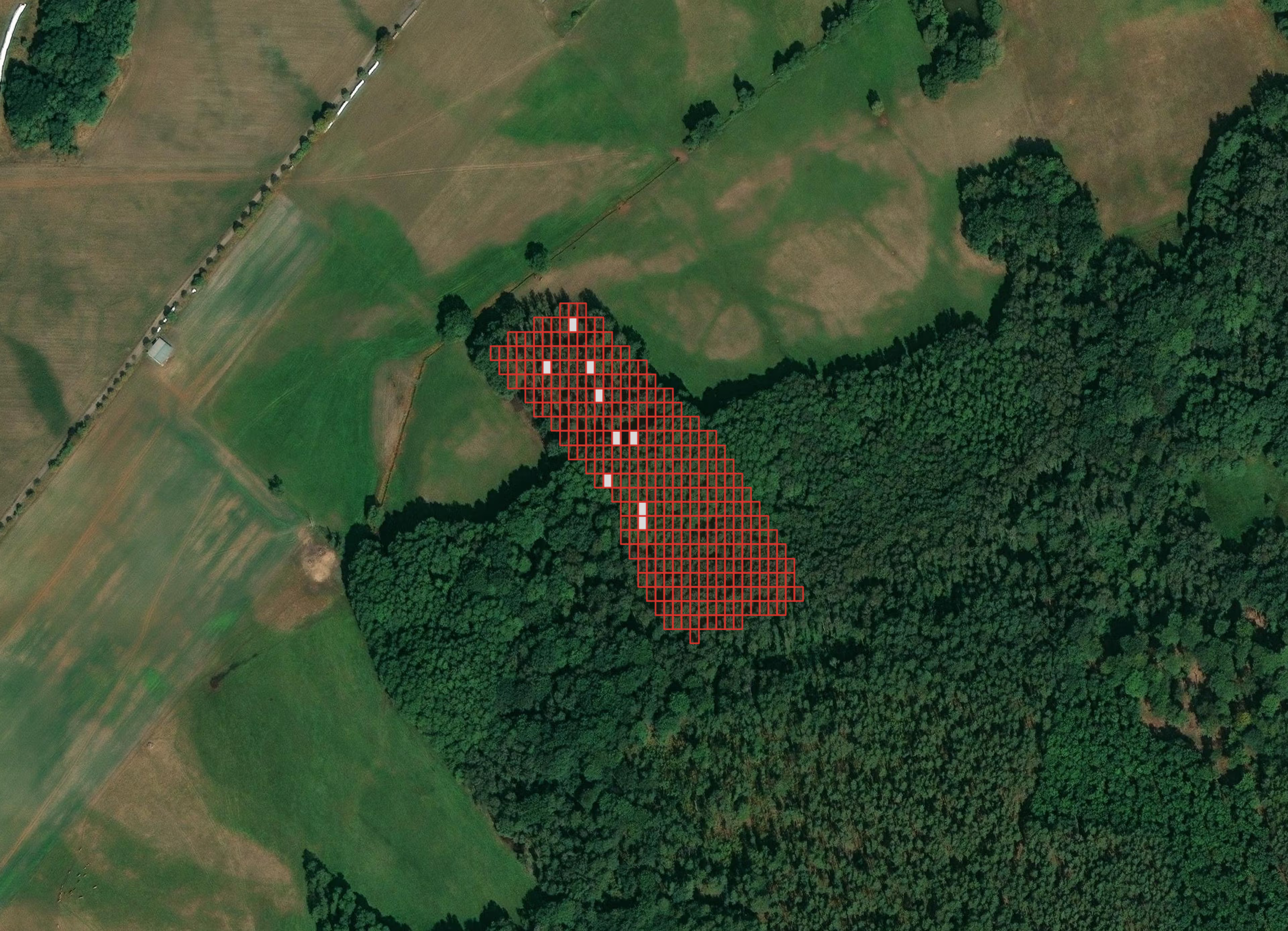 Satellitenaufnahme einer bewaldeten und landwirtschaftlich genutzten Landschaft. In der Mitte des Bildes ist ein rechteckiges Raster aus roten Linien über einem Bereich am Waldrand markiert, das eine bestimmte Untersuchungs- oder Projektzone kennzeichnet.