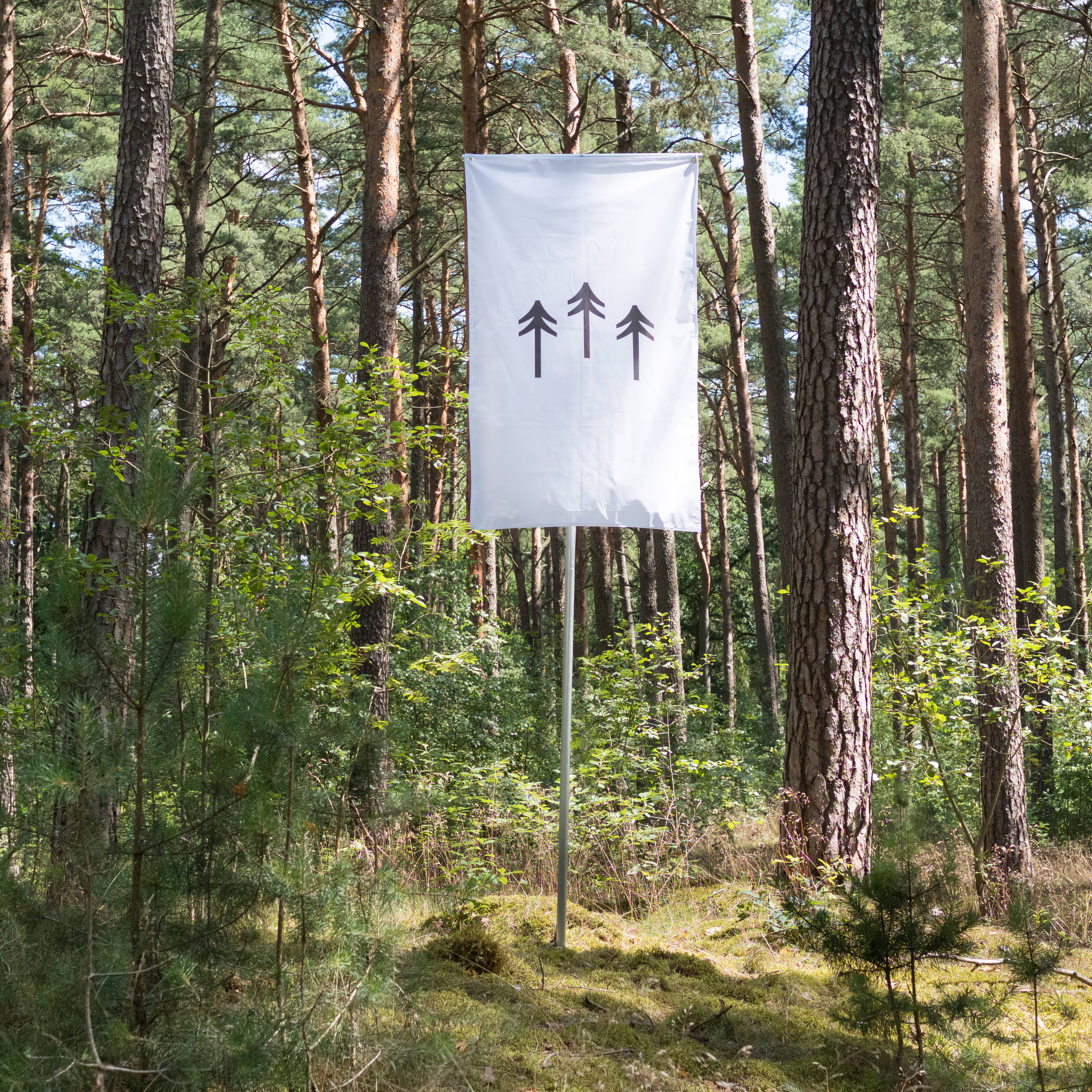 A white flag with three black upward-pointing arrows is displayed in a sunlit forest, surrounded by tall pine trees and green undergrowth. The scene is calm and serene, with dappled sunlight filtering through the canopy.