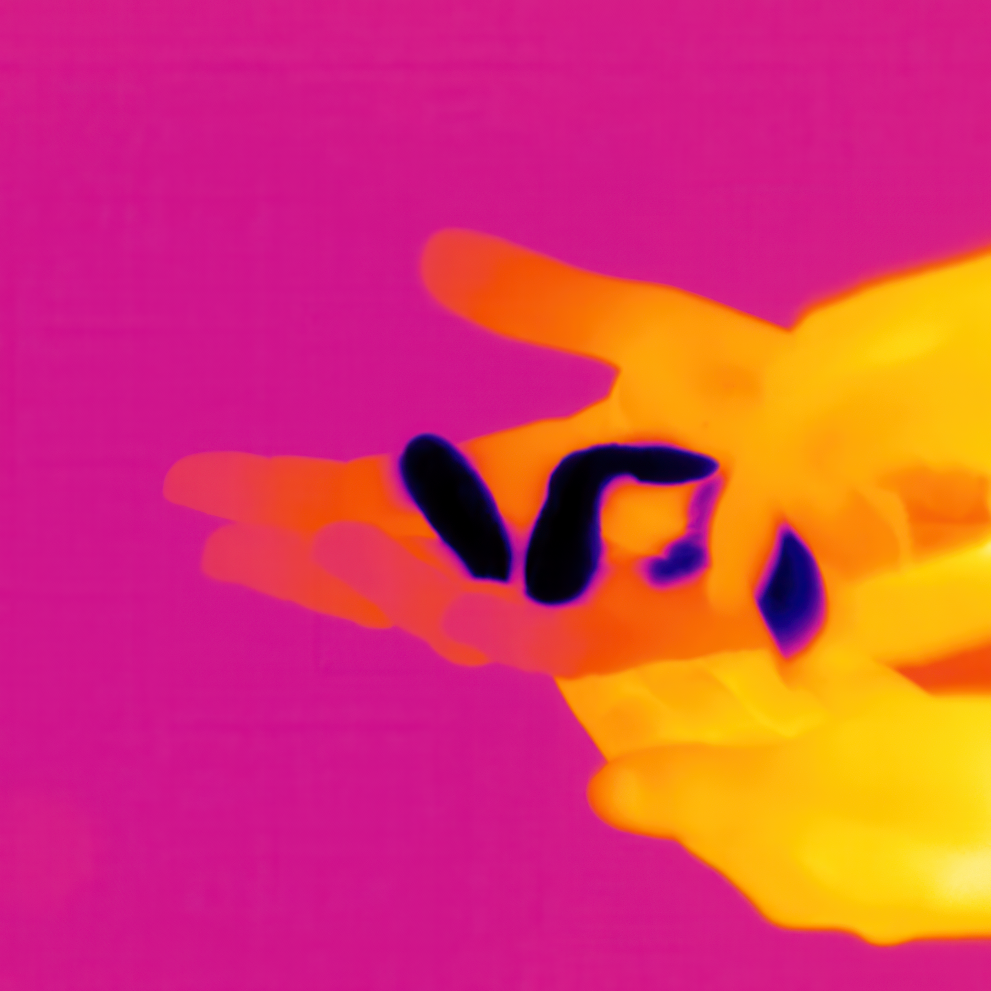 Two hands, displayed in a thermal imaging style, are holding dark objects against a vibrant pink background. The hands appear warm, shown in orange and yellow, while the objects are cooler and dark blue.