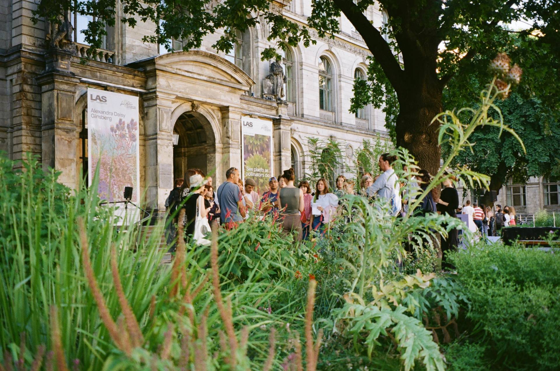 Pollinator Pathmaker: Sommerprogramm | LAS Art Foundation