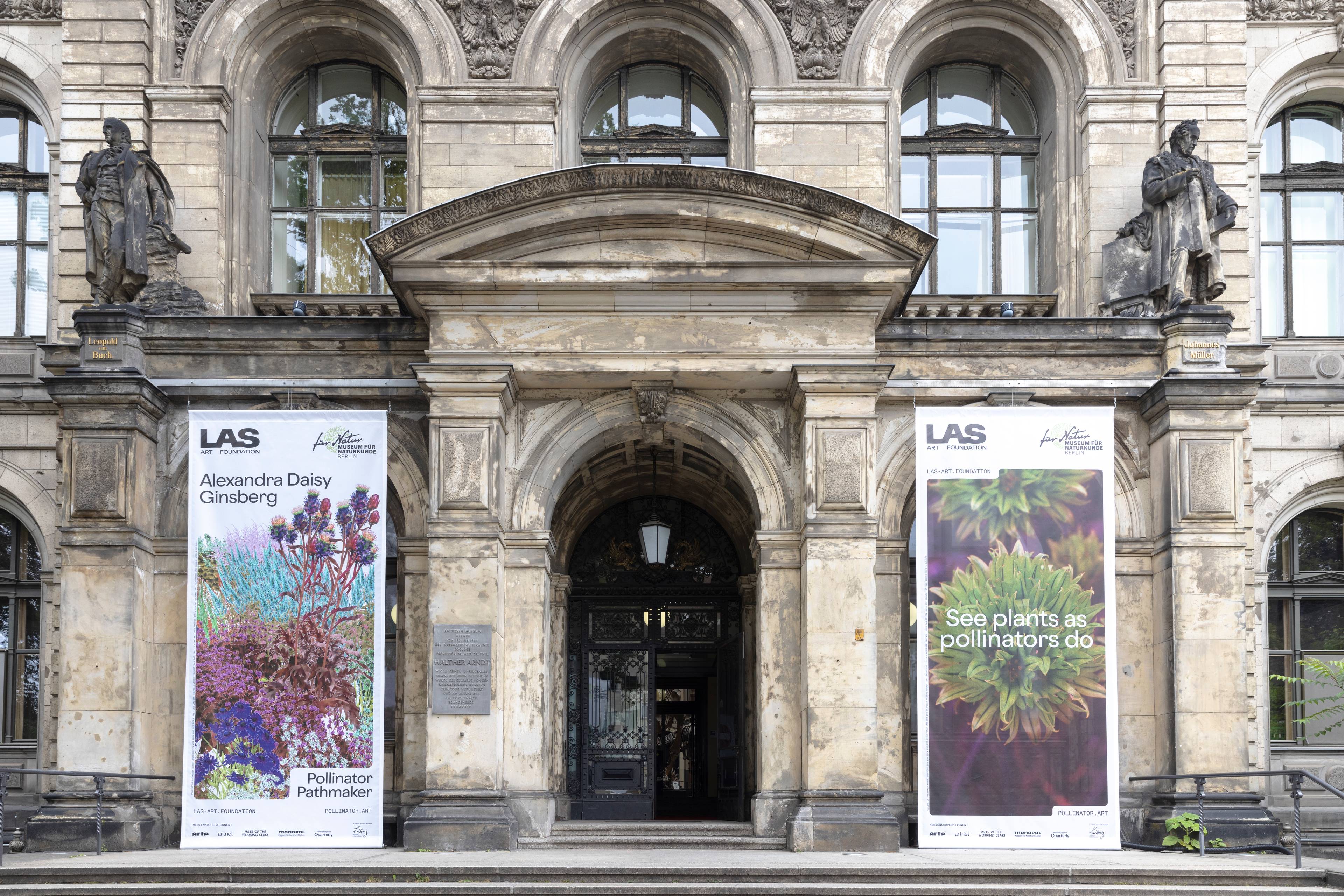 Historische Museumsfassade in Berlin mit zwei großformatigen Ausstellungsbannern von LAS Art Foundation und dem Museum für Naturkunde. Die Banner bewerben Alexandra Daisy Ginsbergs Projekt Pollinator Pathmaker und zeigen farbenreiche Pflanzenmotive sowie den Slogan „See plants as pollinators do“ beidseits des Haupteingangs.