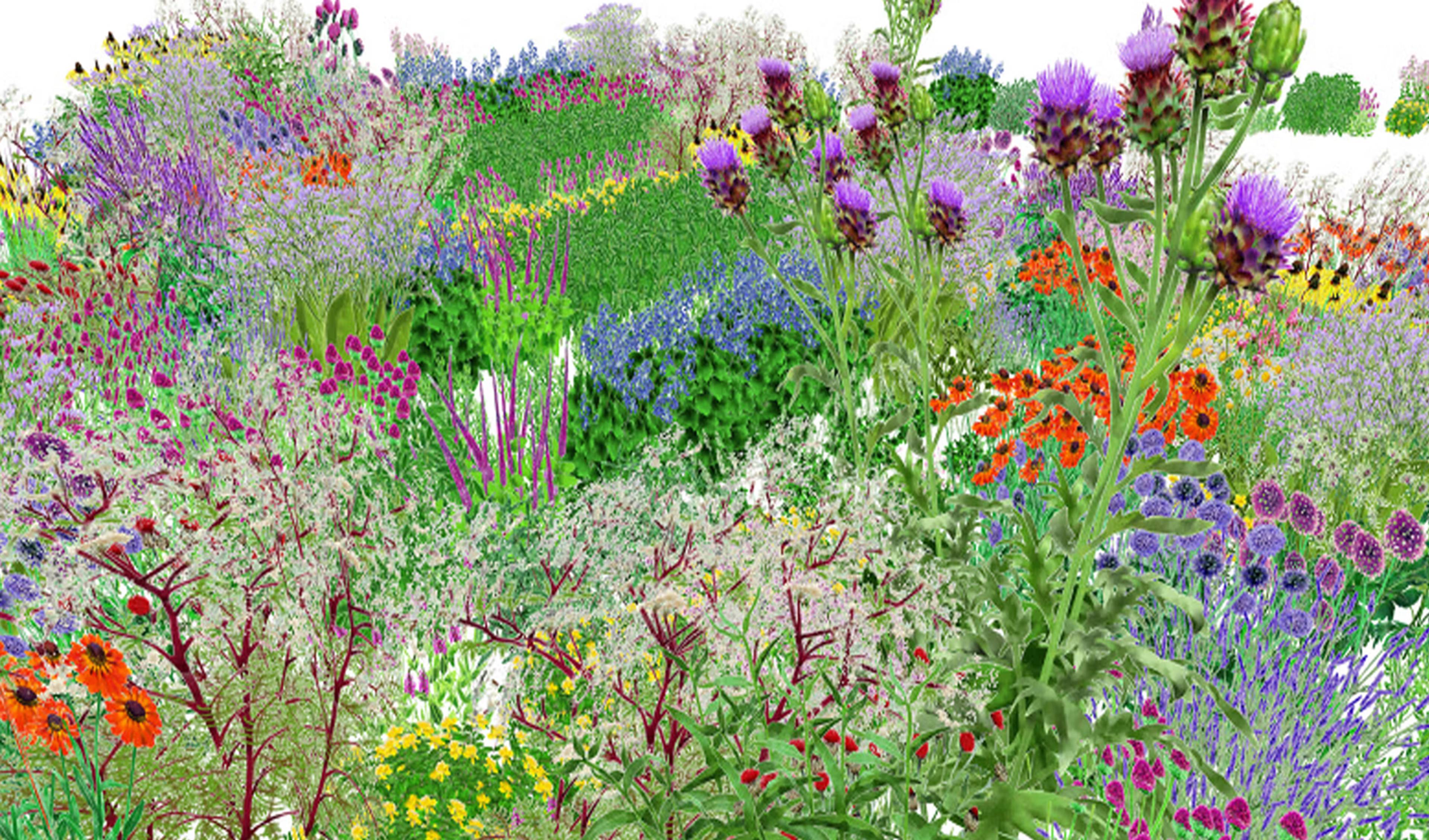 Comparison of pollinator vision and human vision in Pollinator Pathmaker