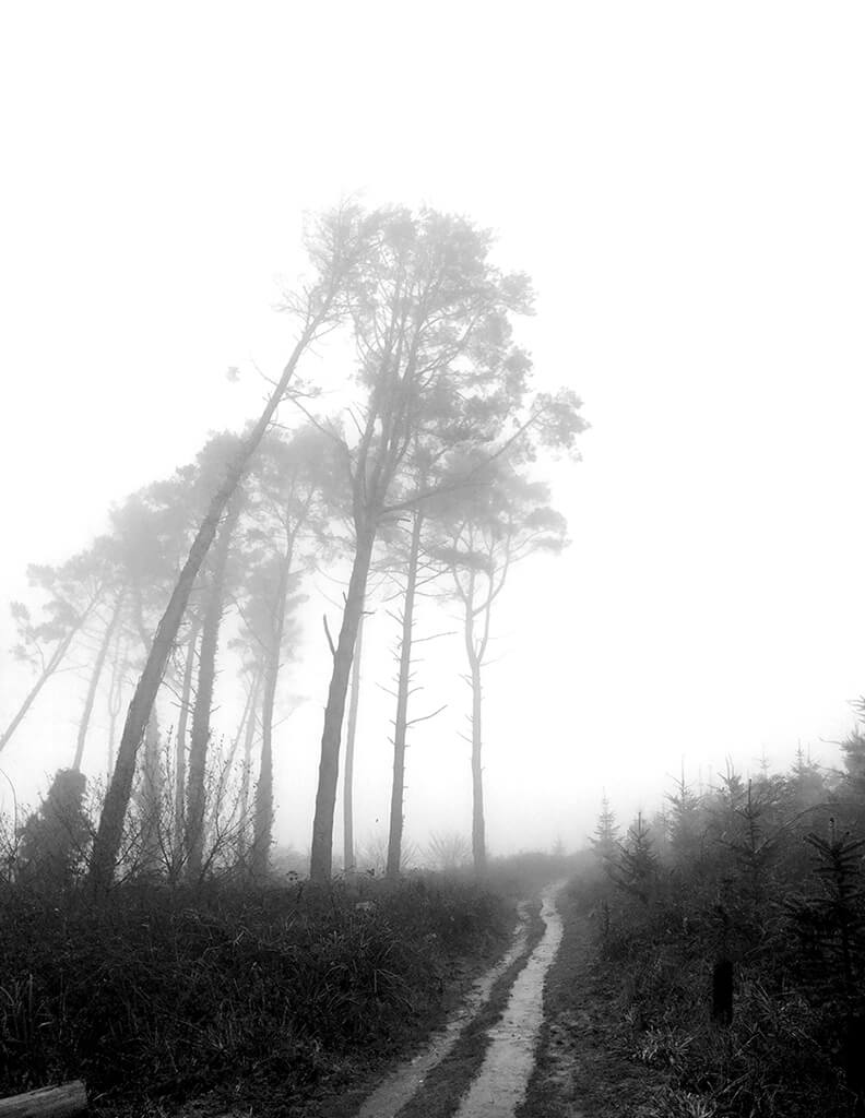 Pathway in the Mist: Otterton