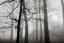 Misty Beech : Swindon