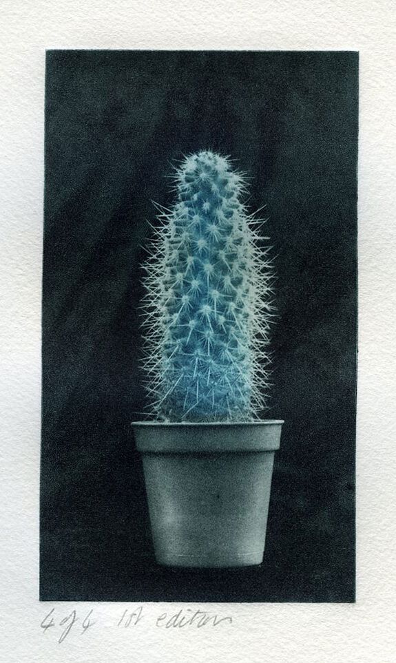 Cactus 1: Two colour Photopolymer 