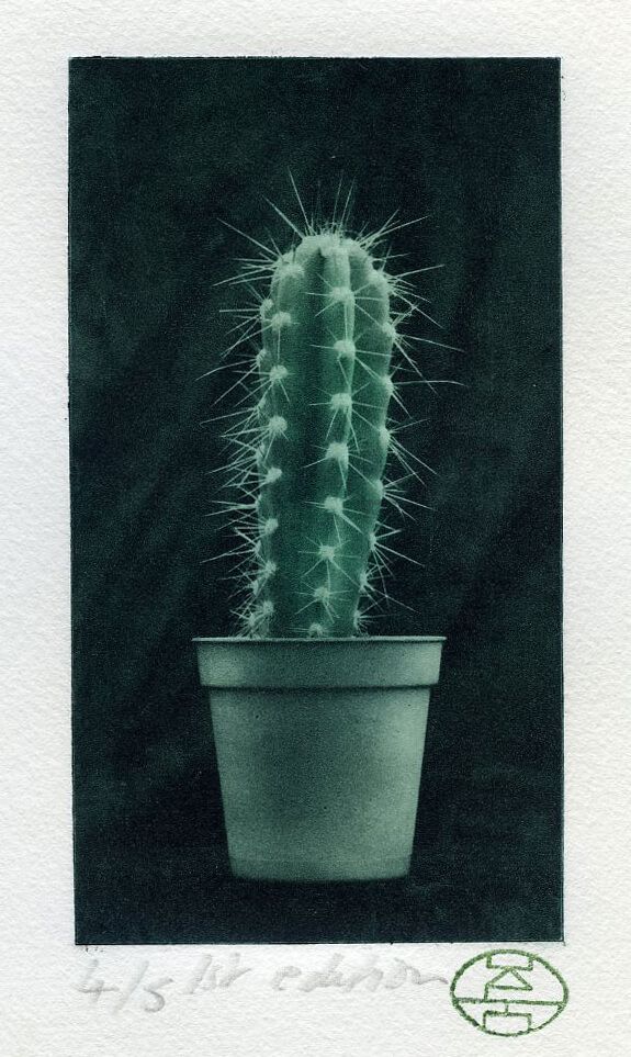 Cactus 2: Two colour Photopolymer 