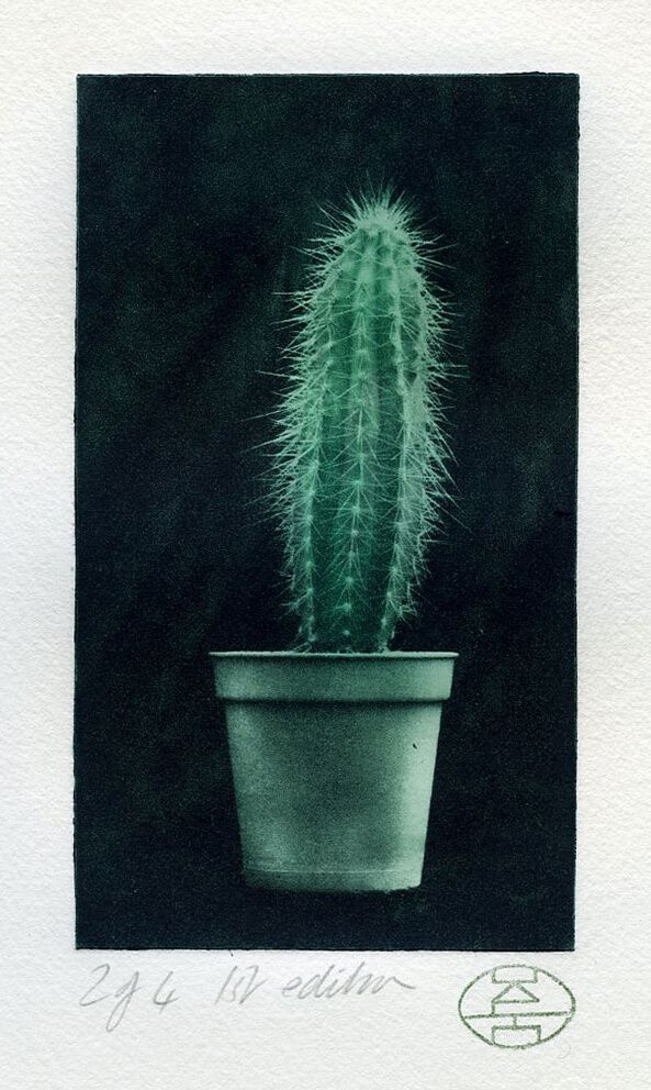 Cactus 4: Two colour Photopolymer 