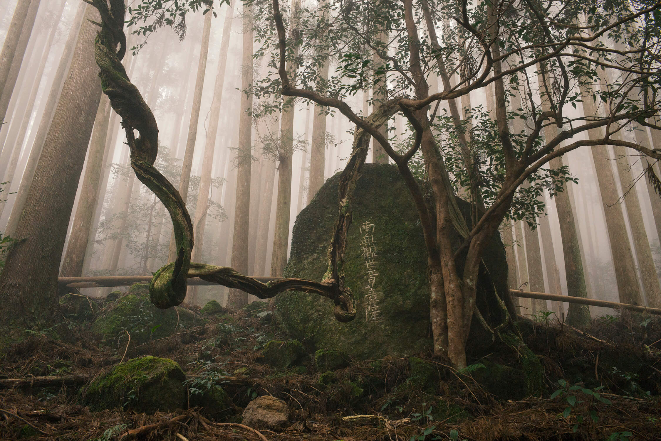 Site of old inn on the Kumano Kodo pilgrimage: Nakahechi, Japan