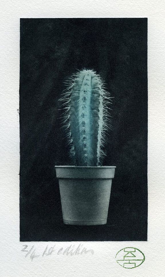 Cactus 3: Two colour Photopolymer 