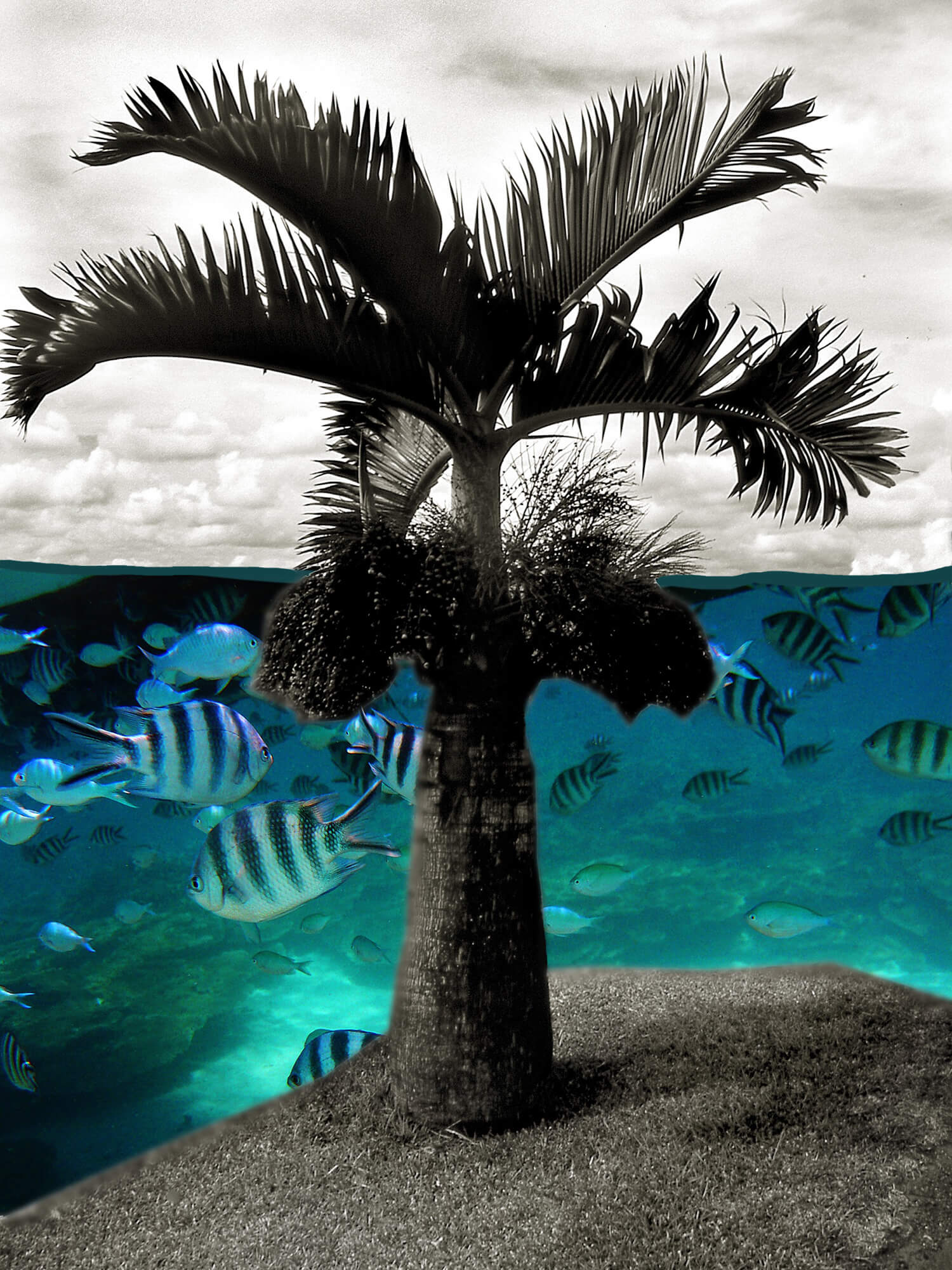 Mauritius: Photomontage 