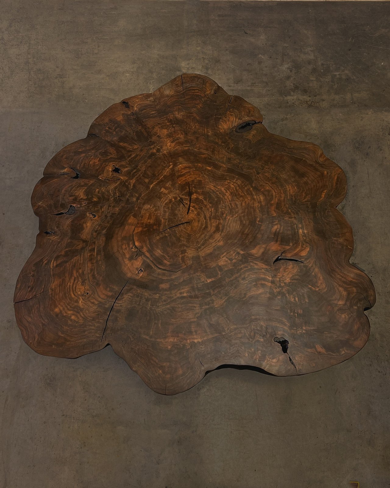 Cross-section low table in Claro Walnut