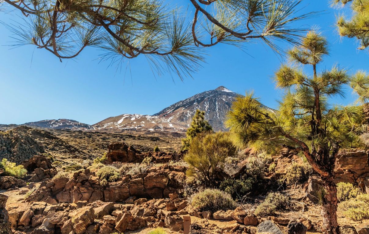 Foto de Canarias