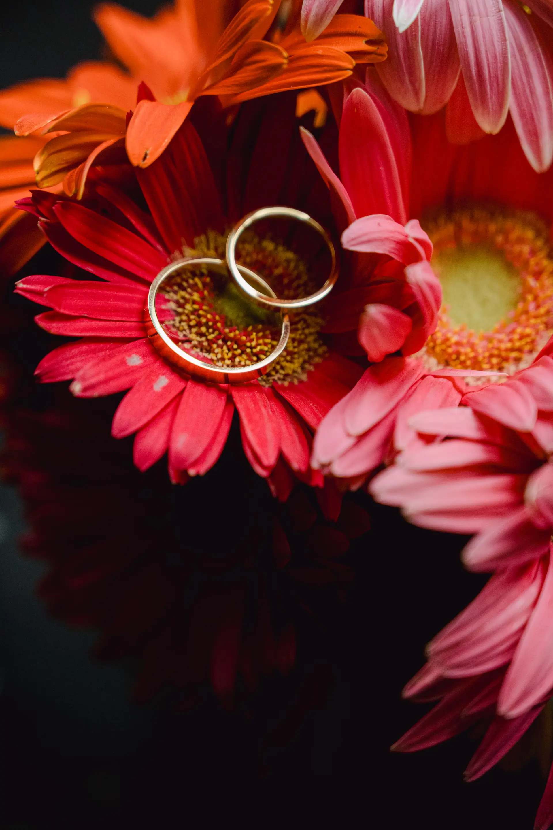 artistic photo of the wedding rings placed in a flower