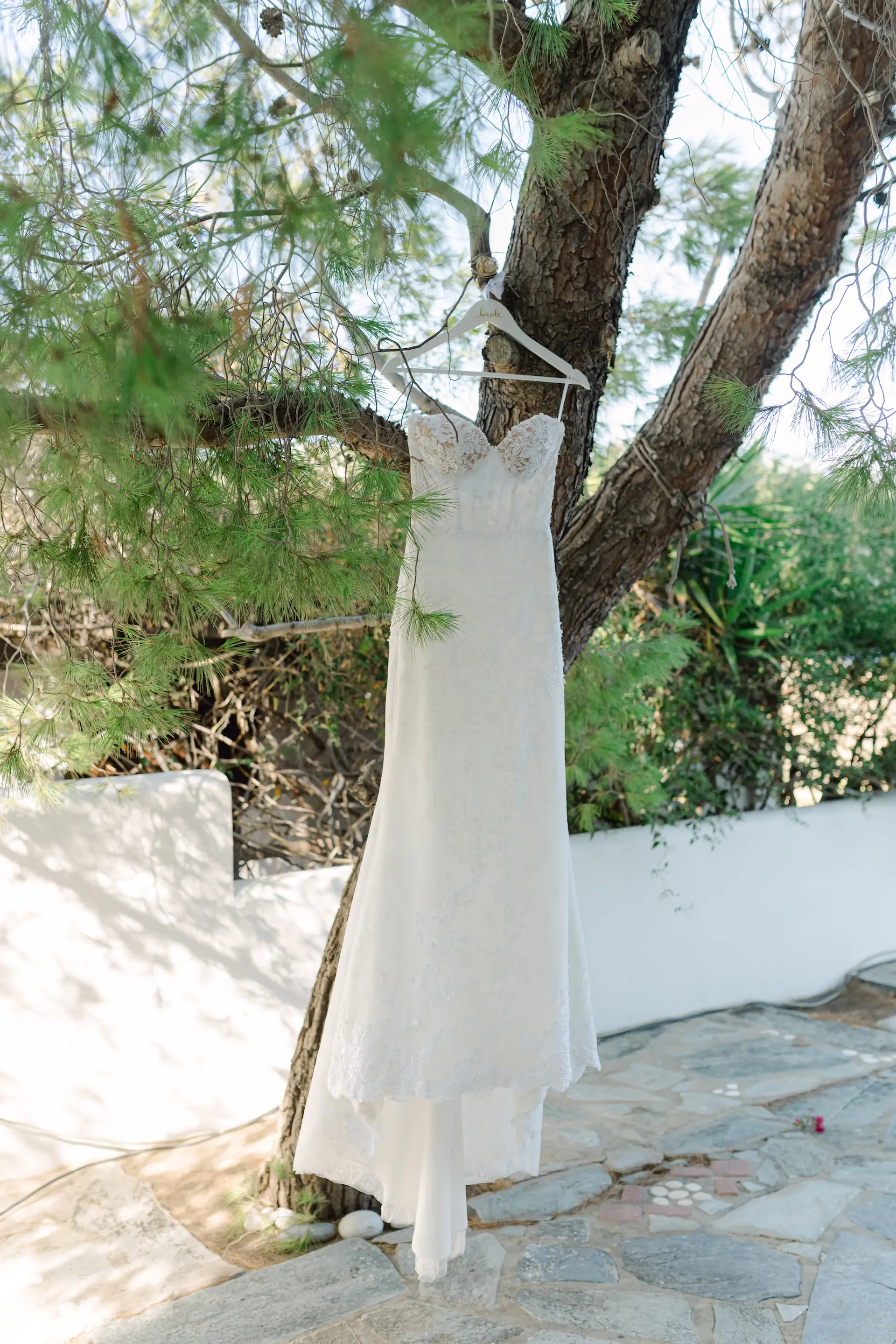 Elegant wedding dress hanging from a tree in a beautiful outdoor setting