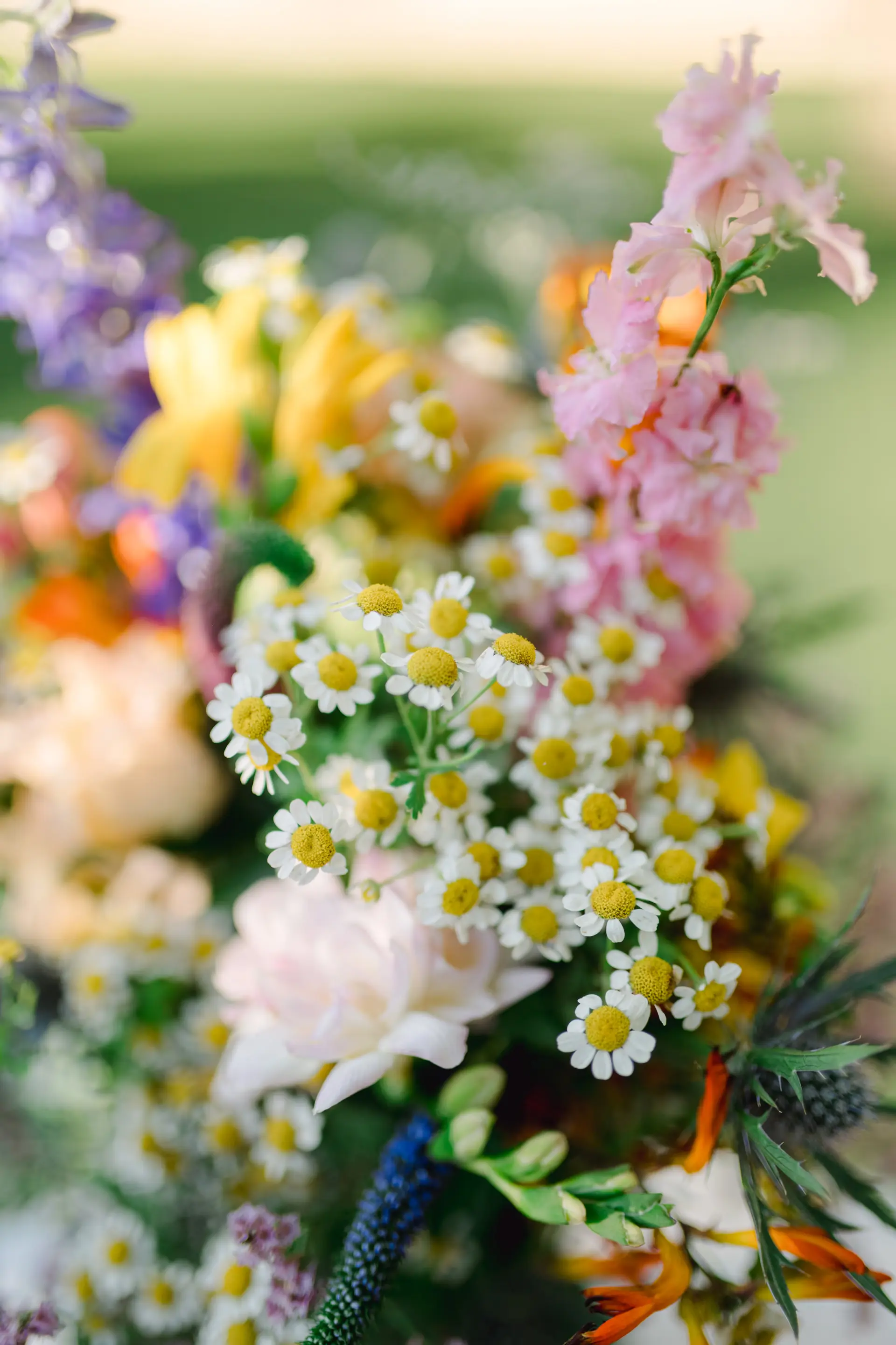 a bouquet of flowers
