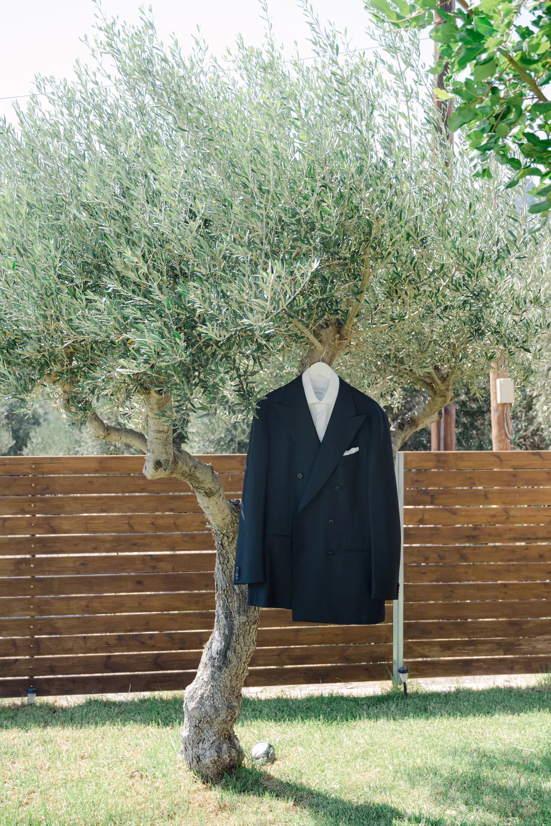 groom suit jacket hanging from a olive tree