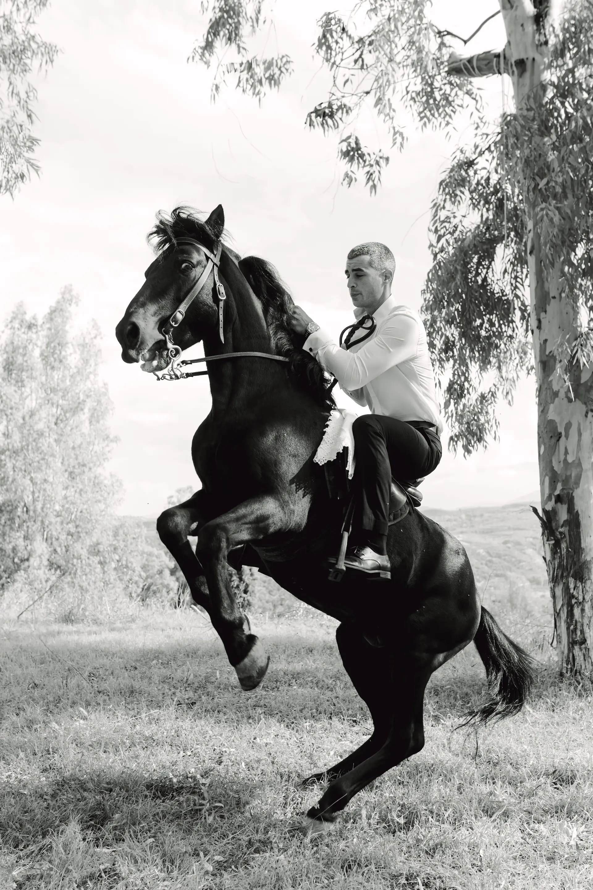 groom dynamic portrait with his horses in black and white