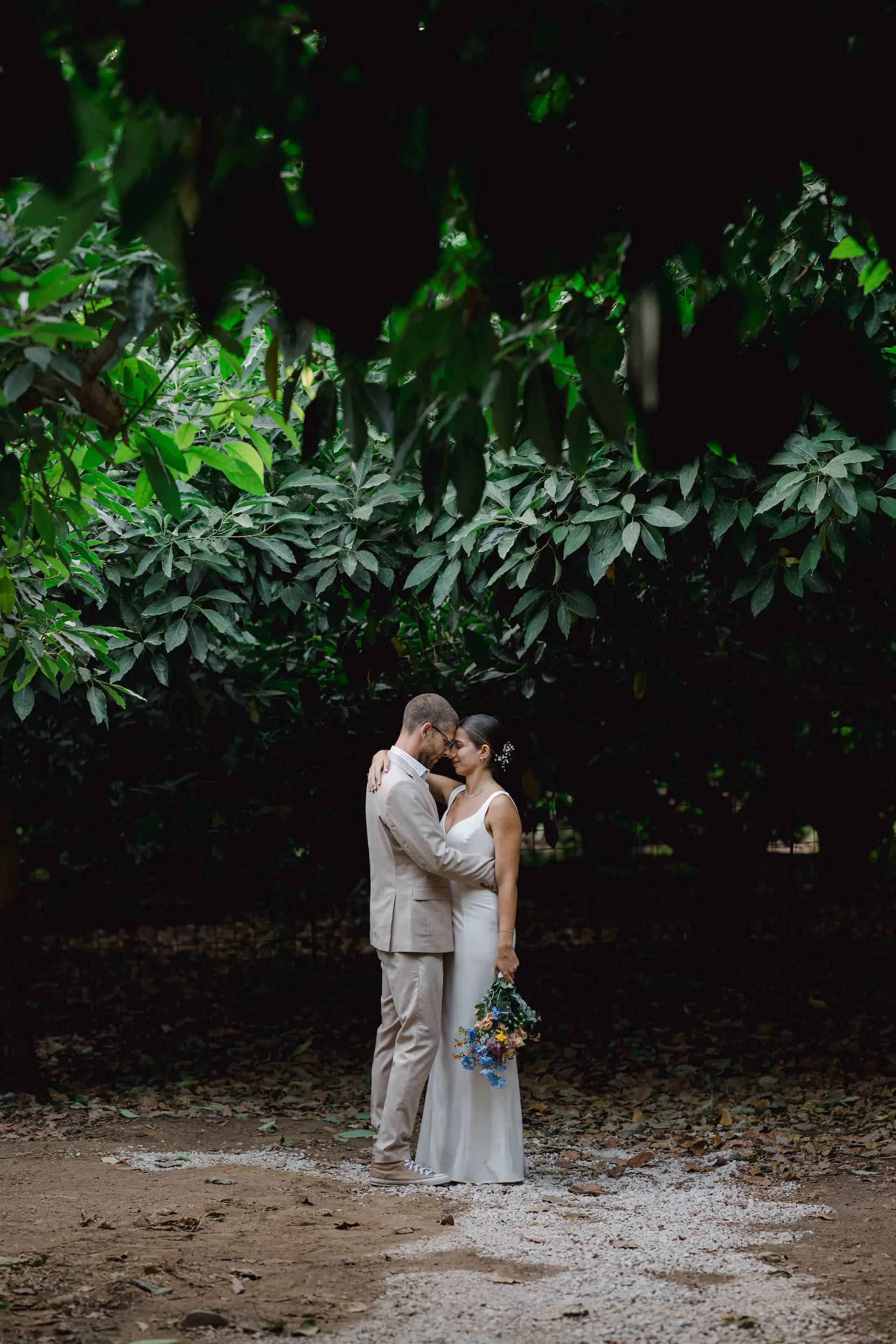 bride and groom romantic photo under the trees in Avocado venue, Chania