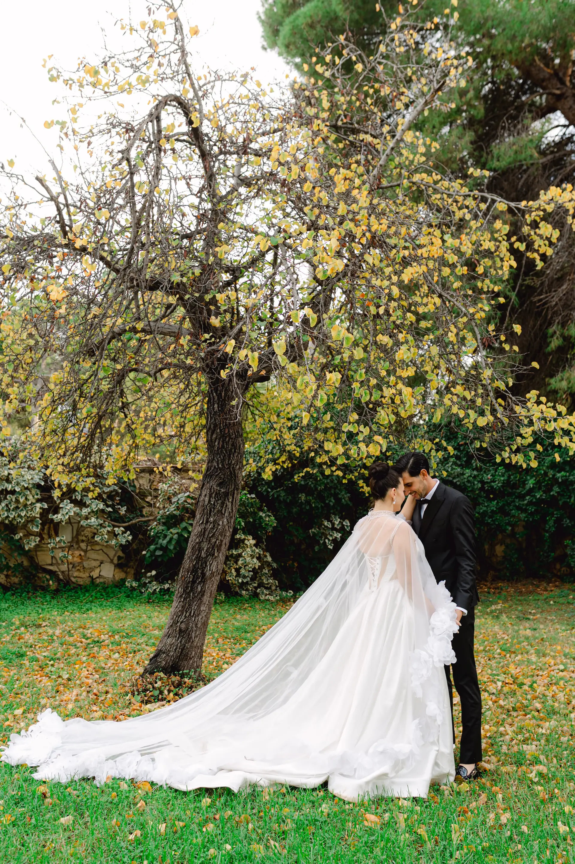bride and groom kissing under a tree with yellow leaves