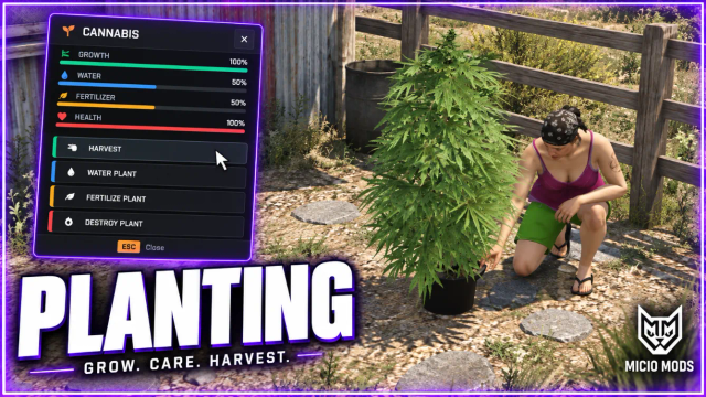 Planting | Crops and Drug Fields