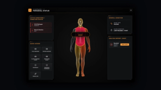 Selecting a body zone opens its report: the wound type and its severity level, with the treatment button beside it