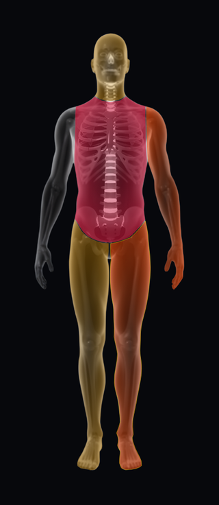 The passive on-screen body readout, always visible while injured