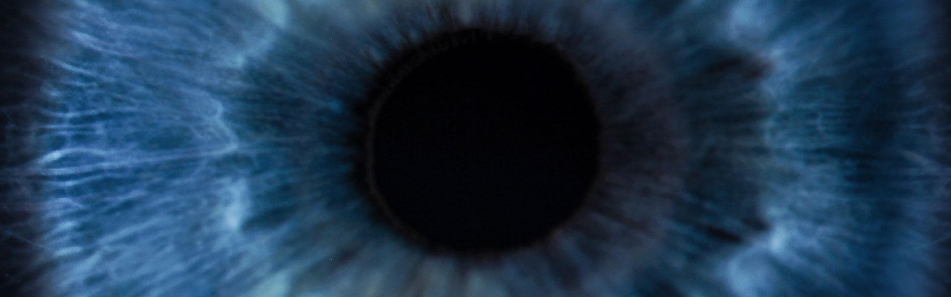 Cerca del iris de un ojo humano