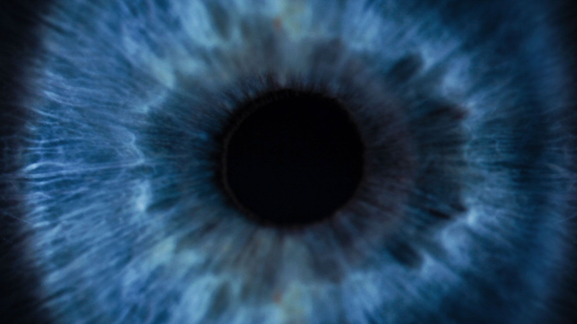 Nahaufnahme der Iris eines menschlichen Auges