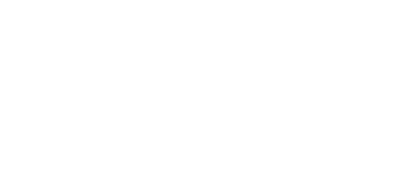 Moses Hershko Development