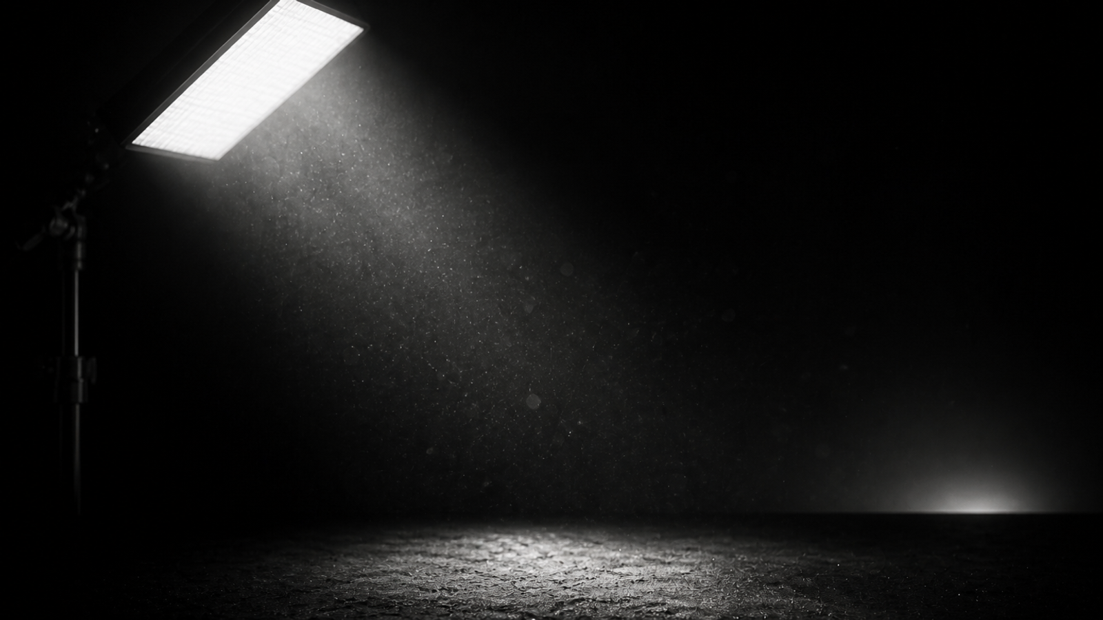 What lights should a blogger buy
